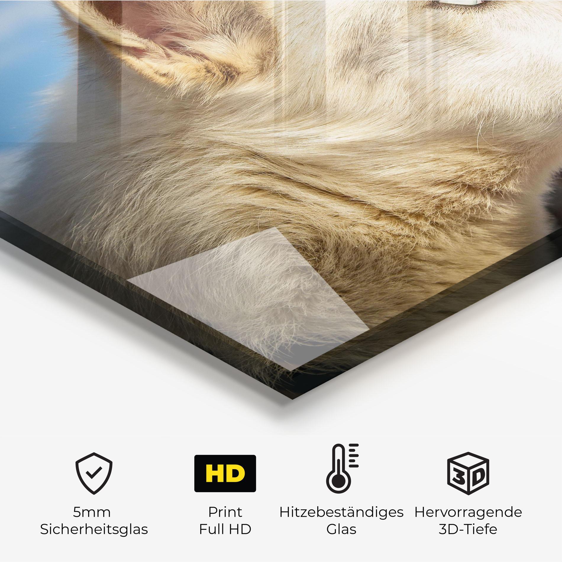 Küchenrückwand Glas White Wolf Looking mockup 2