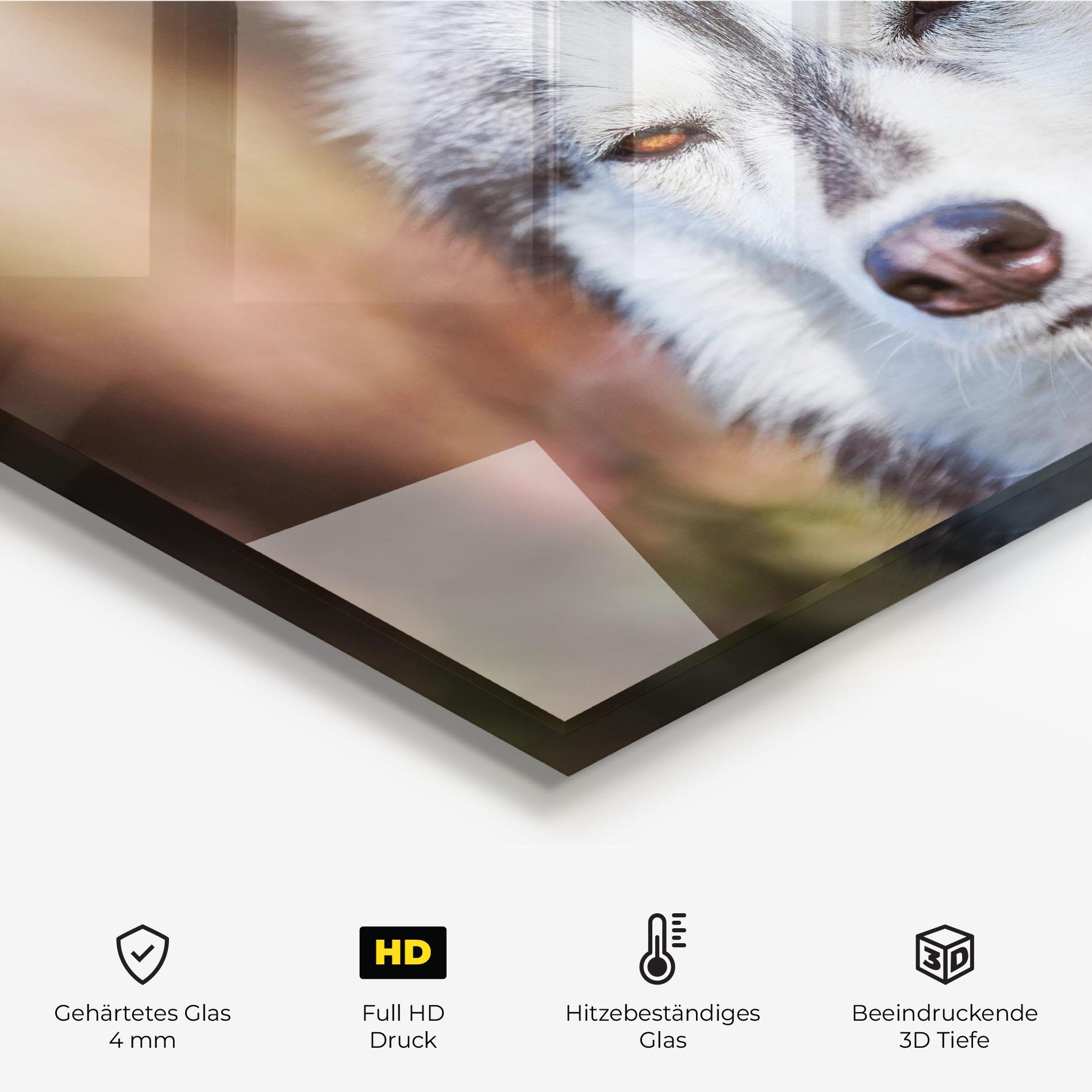 Küchenrückwand Glas Annoyed Wolf mockup 2