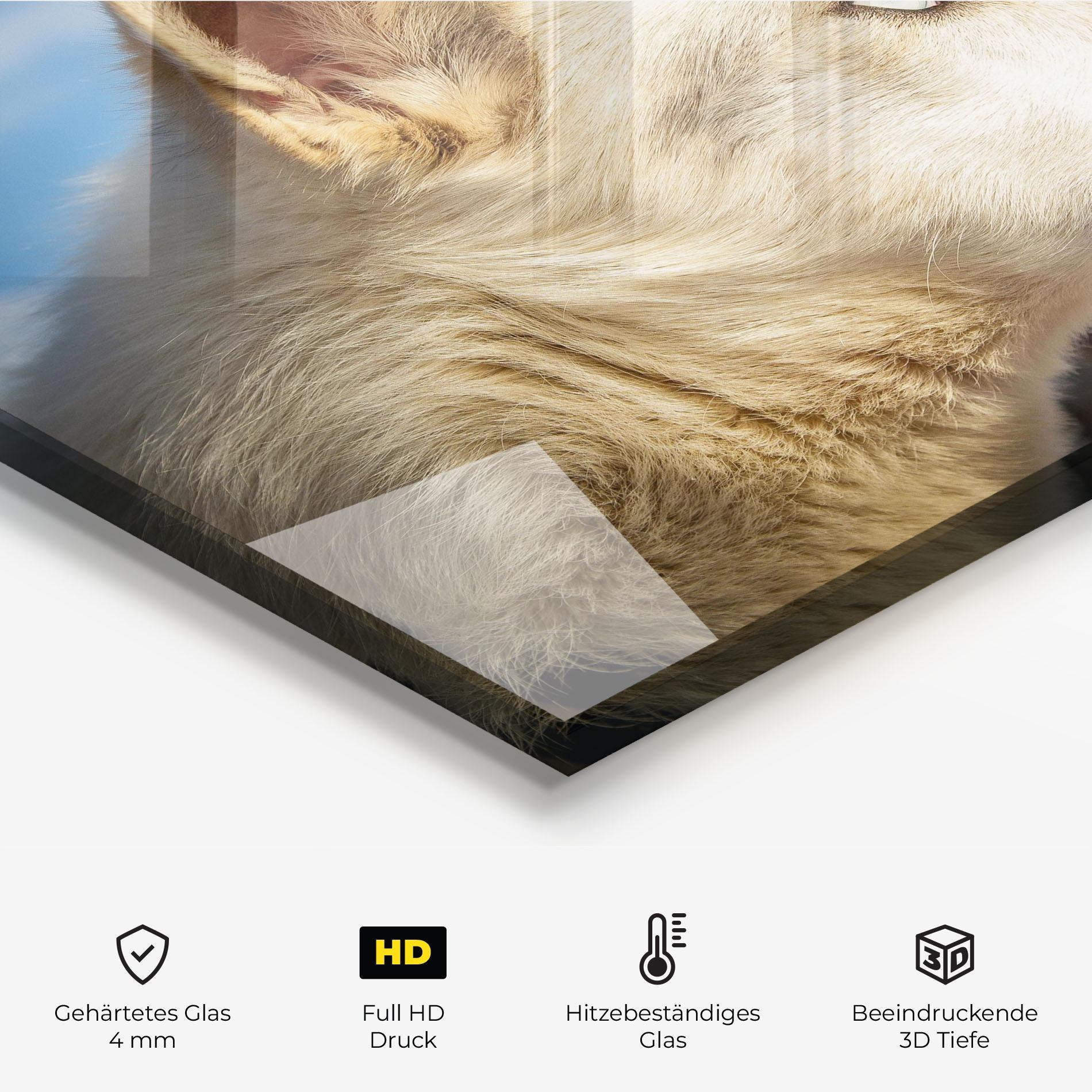 Küchenrückwand Glas White Wolf Looking mockup 2