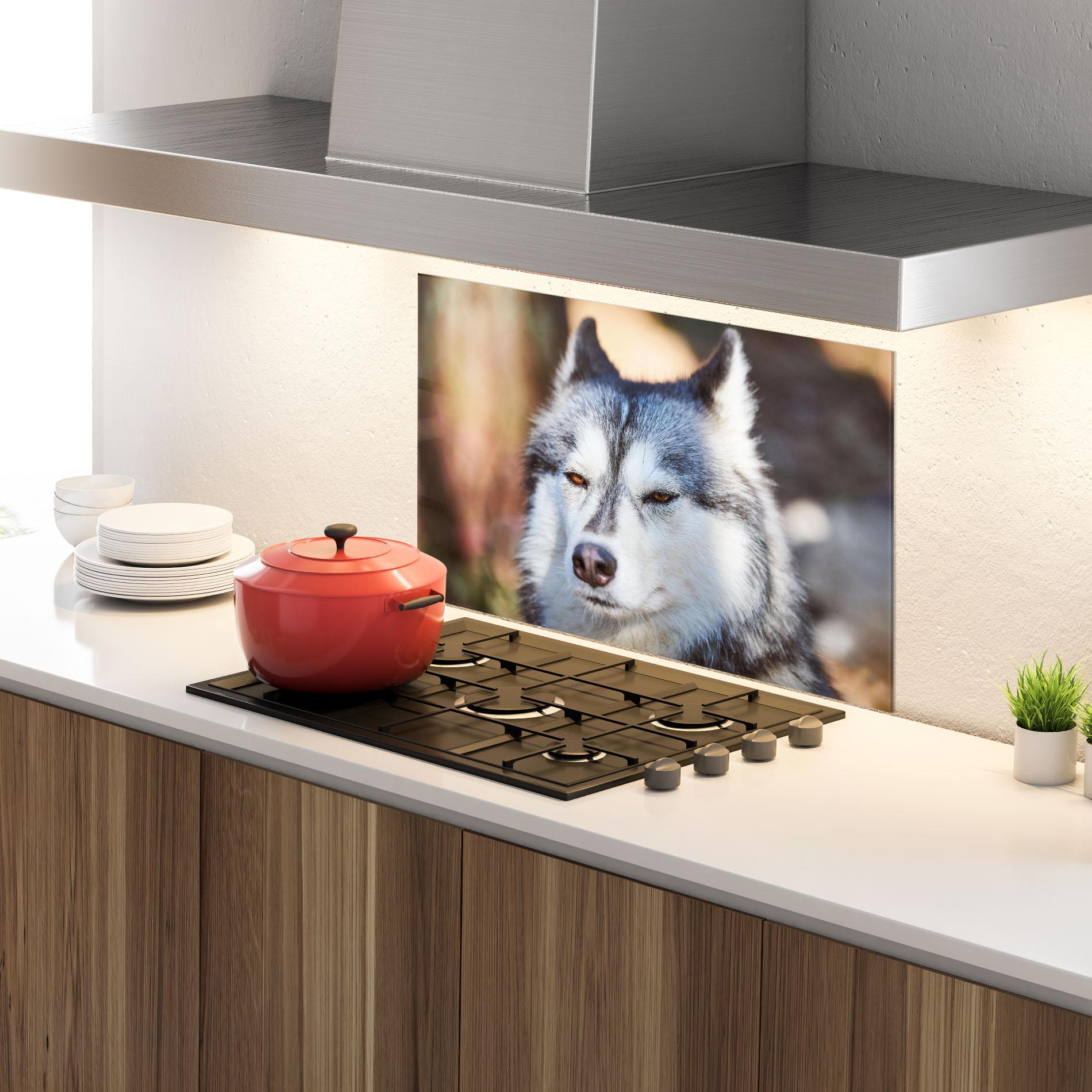 Küchenrückwand Glas Annoyed Wolf mockup 4