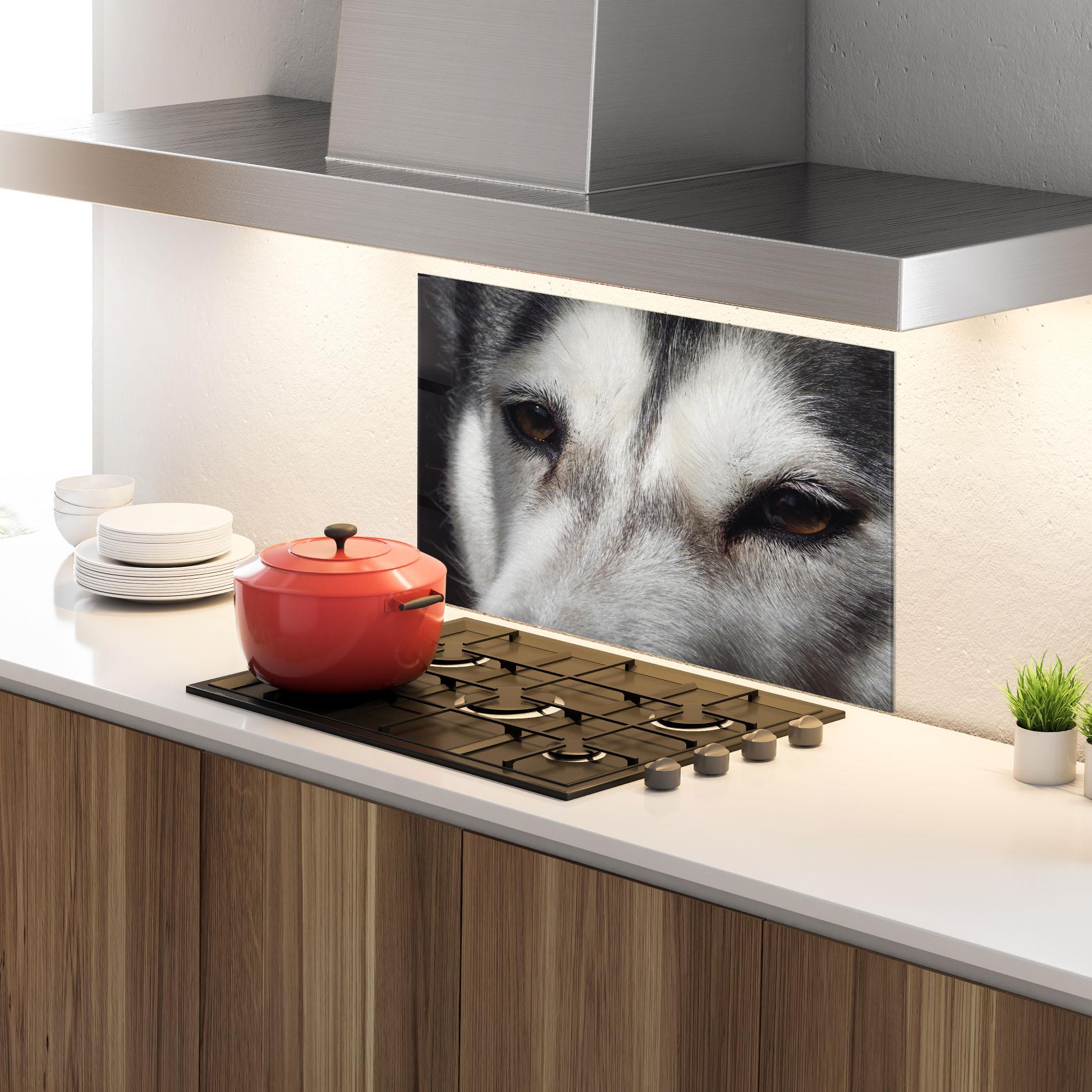 Küchenrückwand Glas Close Up Wolf mockup 4