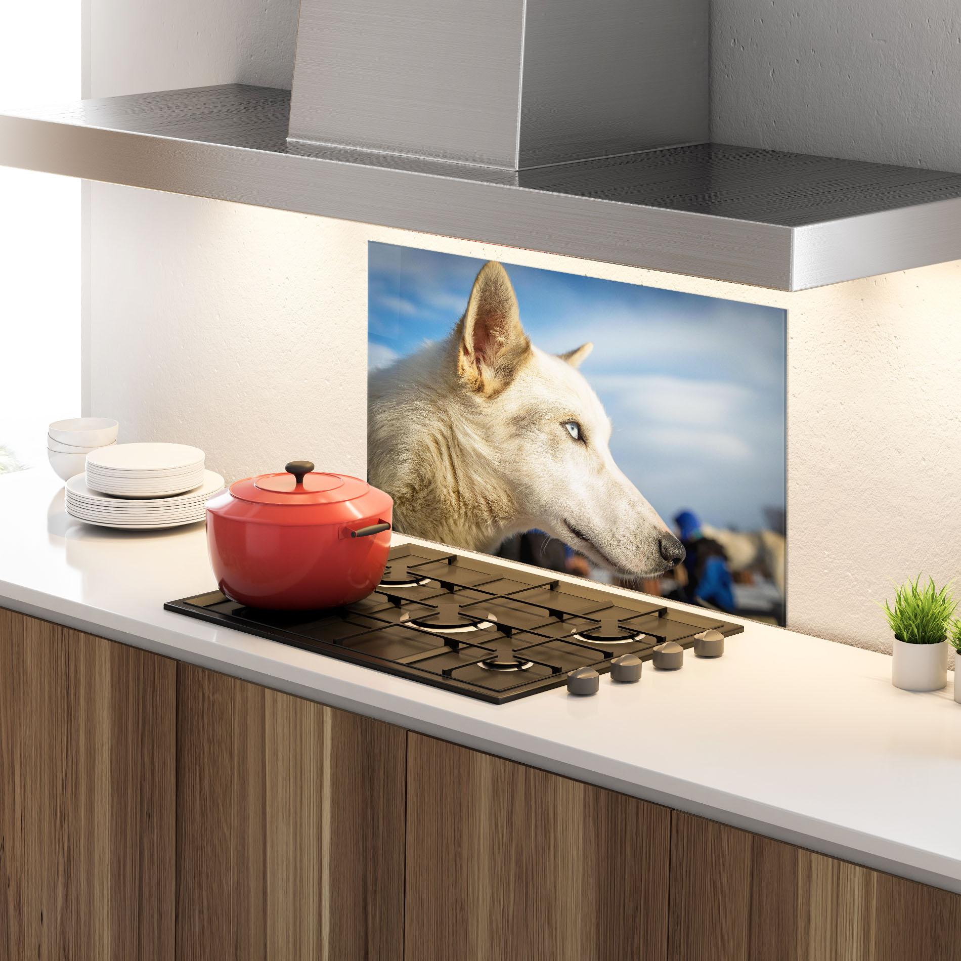 Küchenrückwand Glas White Wolf Looking mockup 4