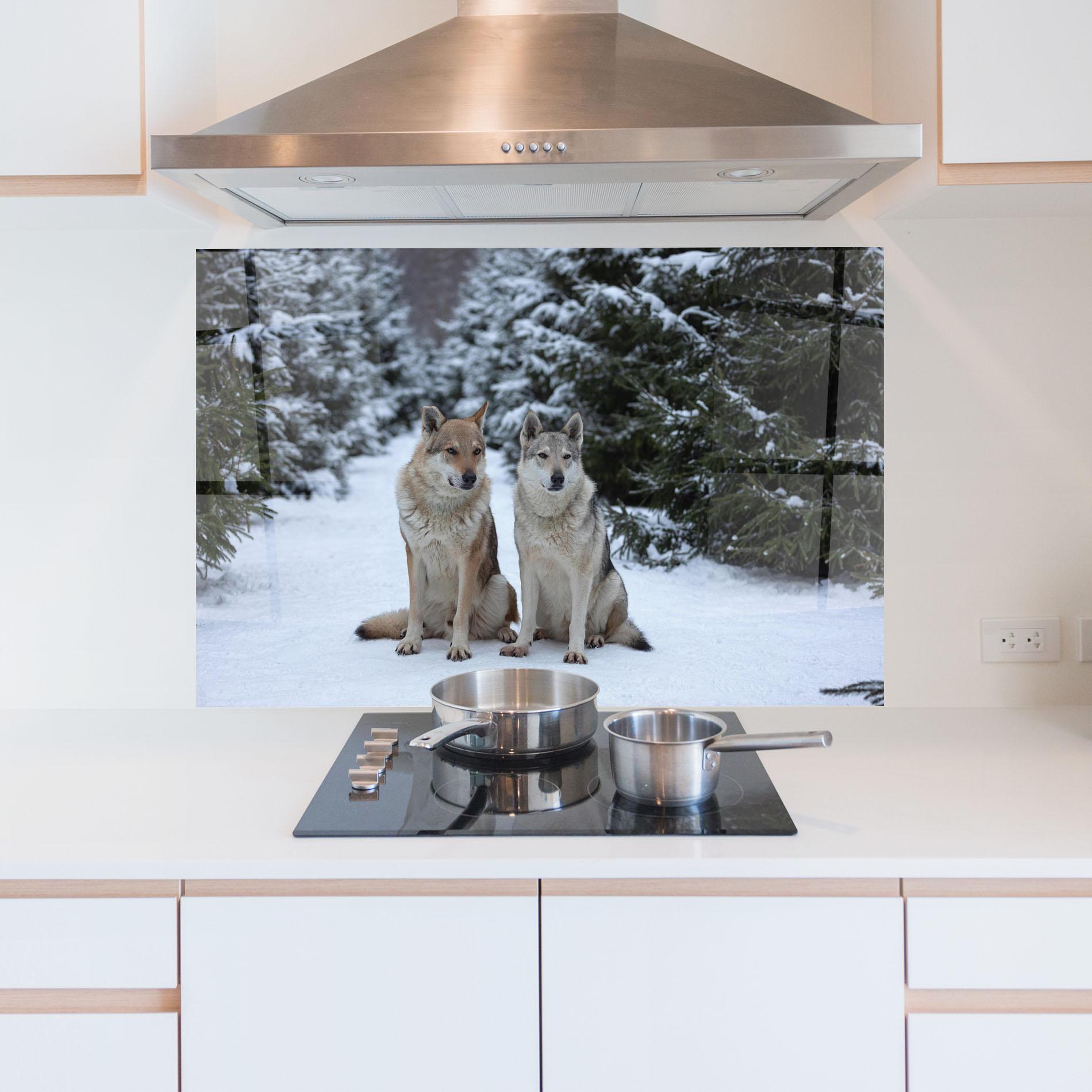 Küchenrückwand Glas 2 Wolfs Sitting mockup 5