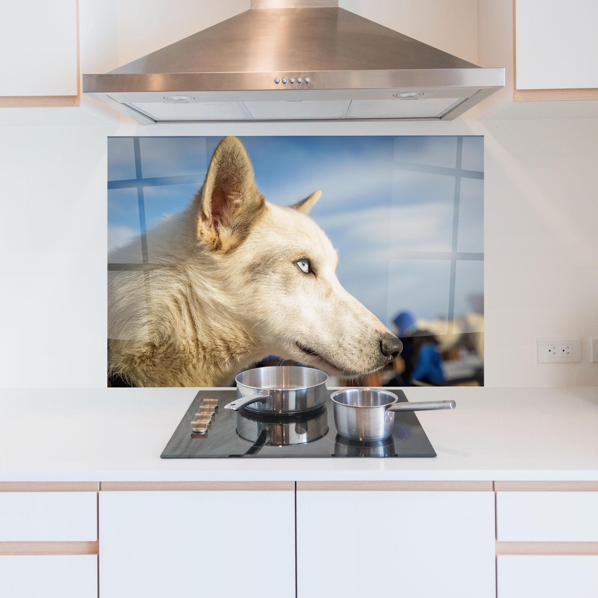 Küchenrückwand Glas White Wolf Looking mockup 5