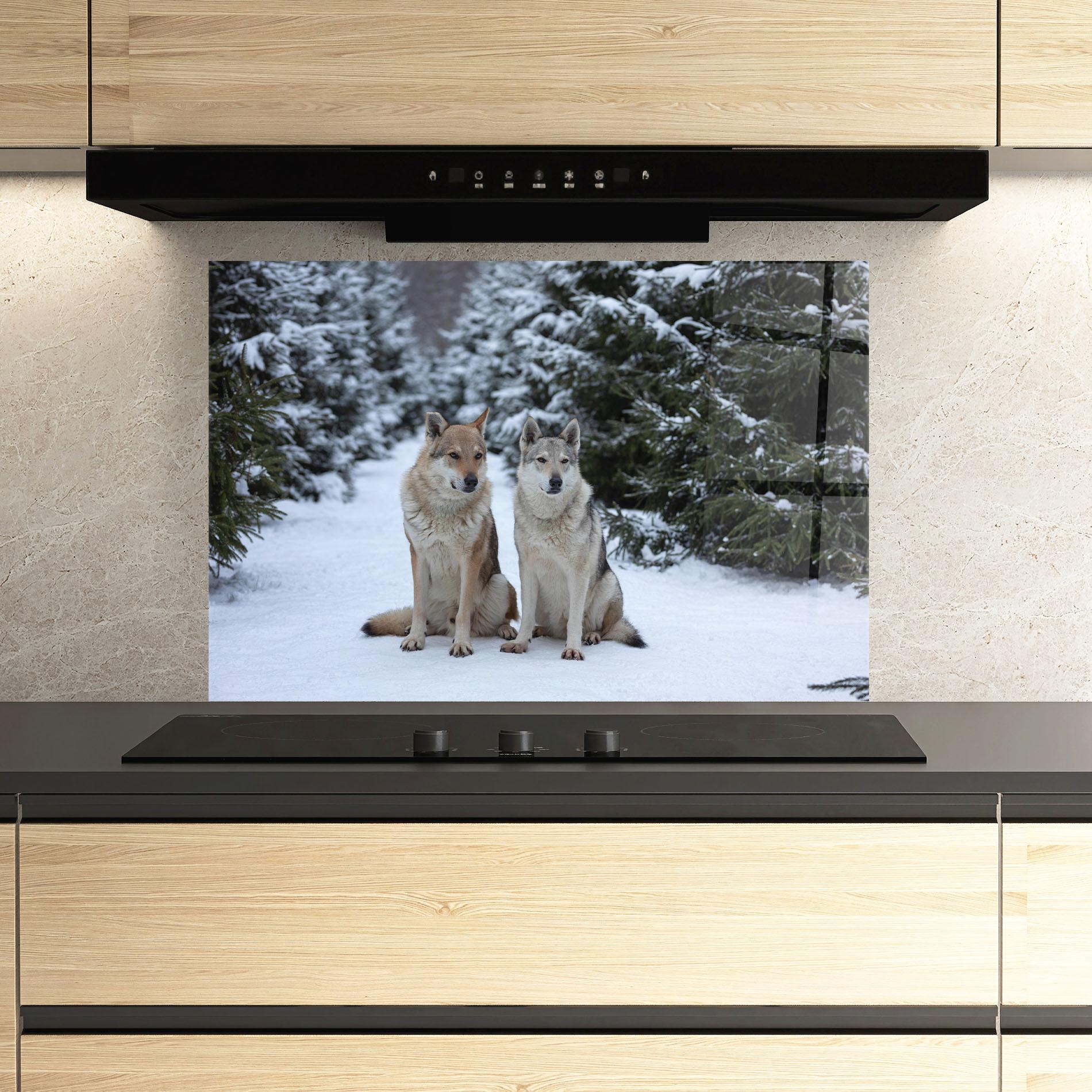 Küchenrückwand Glas 2 Wolfs Sitting mockup 3