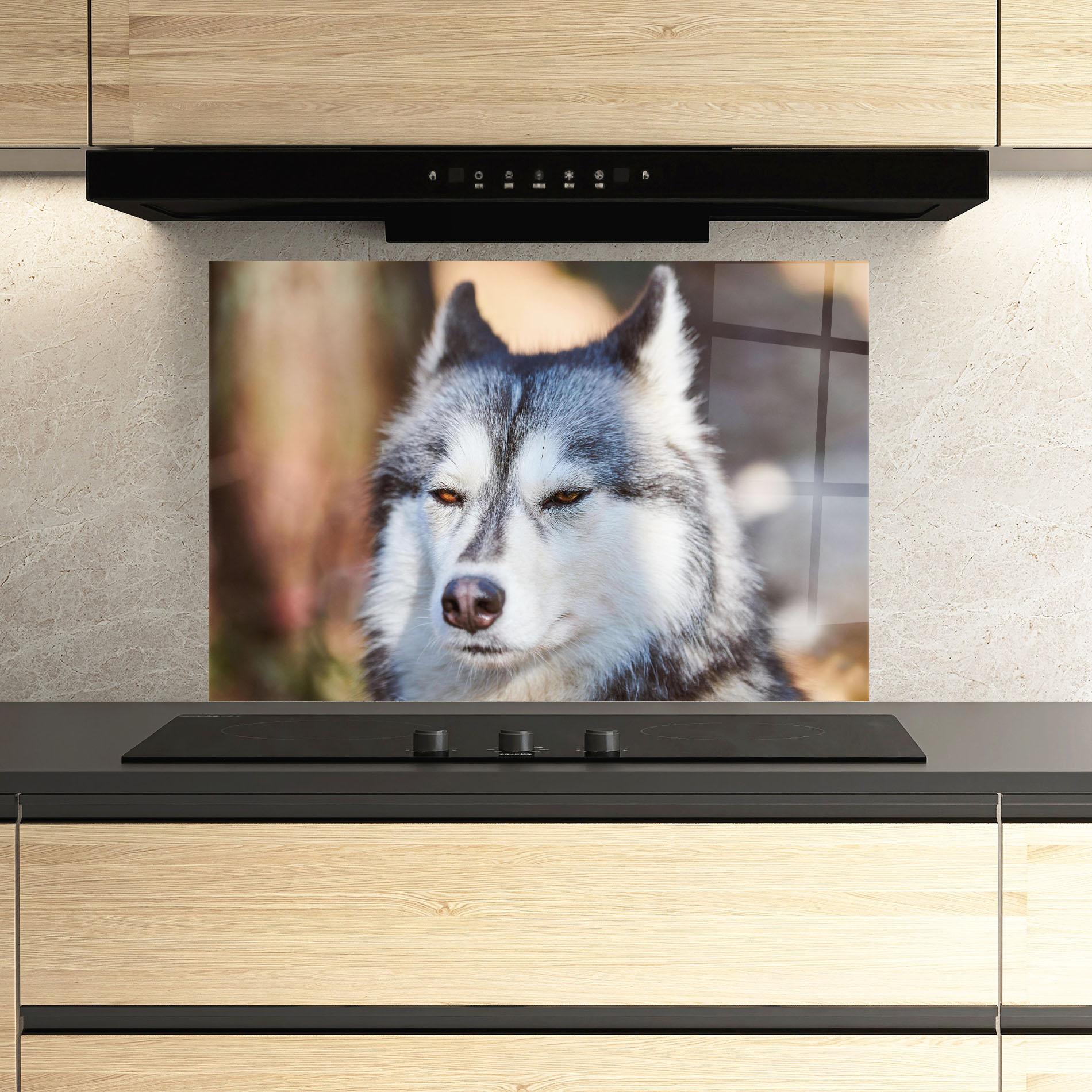 Küchenrückwand Glas Annoyed Wolf mockup 3
