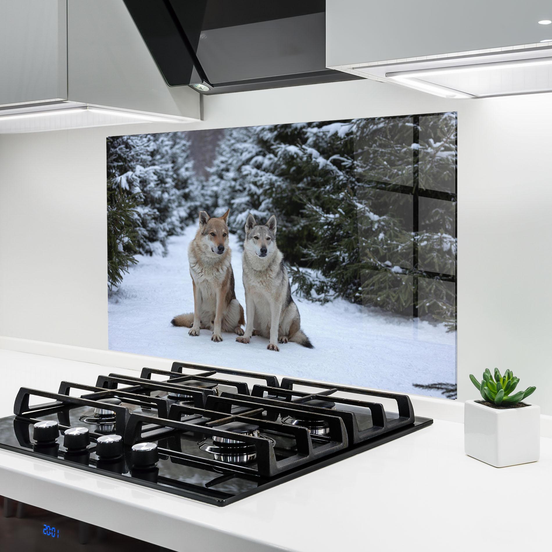 Küchenrückwand Glas 2 Wolfs Sitting mockup 6