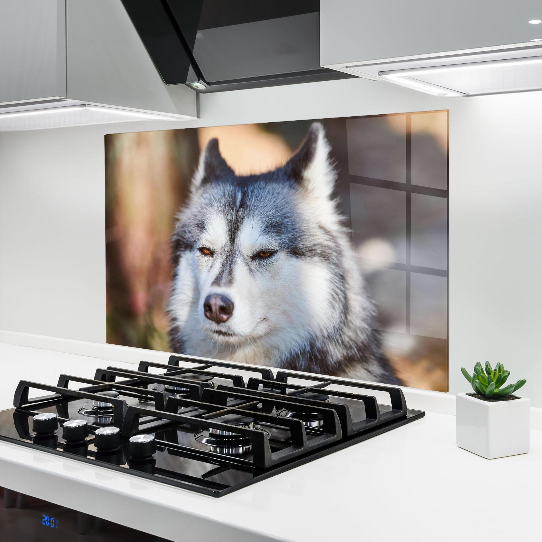 Küchenrückwand Glas Annoyed Wolf mockup 6