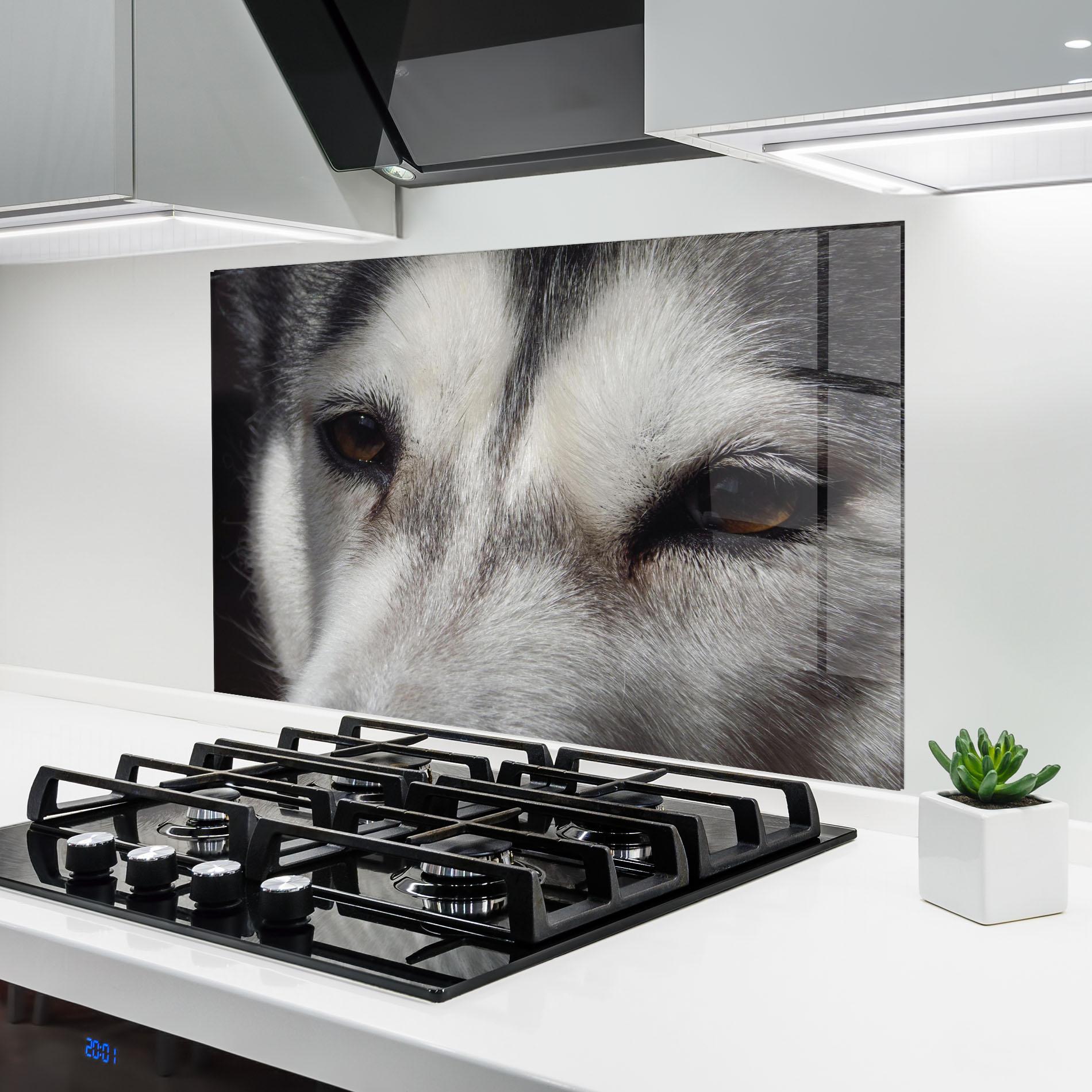 Küchenrückwand Glas Close Up Wolf mockup 6