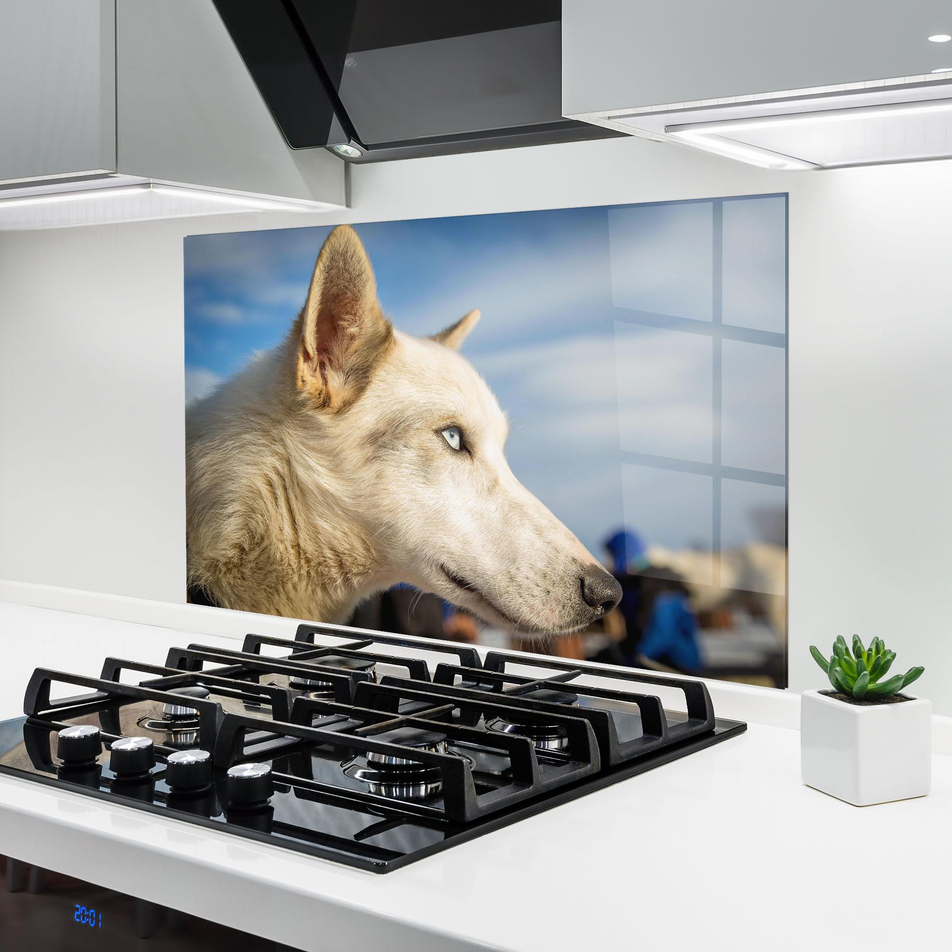 Küchenrückwand Glas White Wolf Looking mockup 6