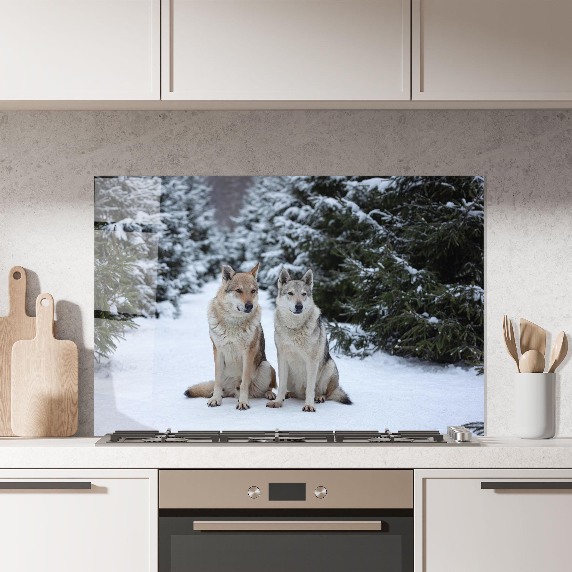 Küchenrückwand Glas 2 Wolfs Sitting mockup 7