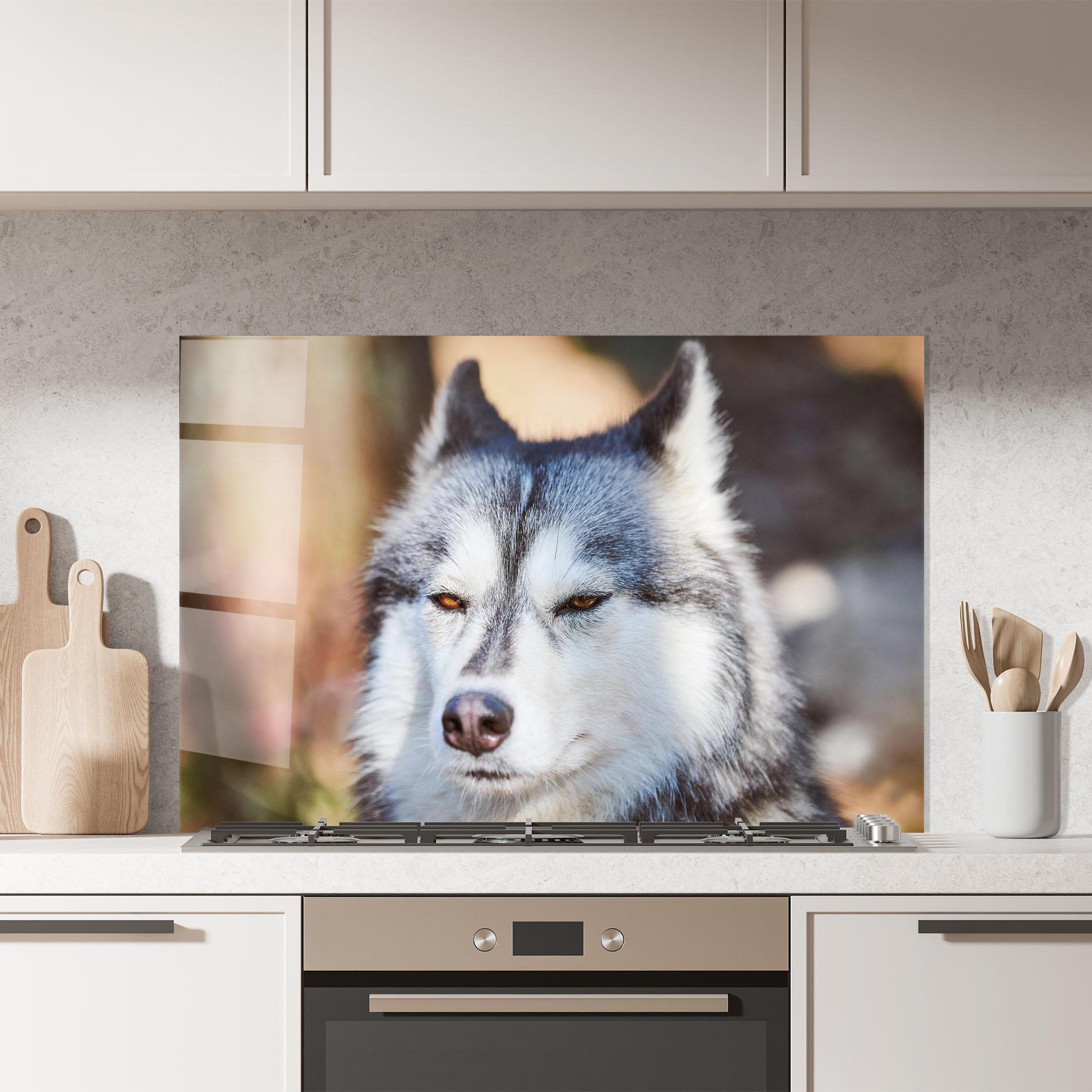 Küchenrückwand Glas Annoyed Wolf mockup 7
