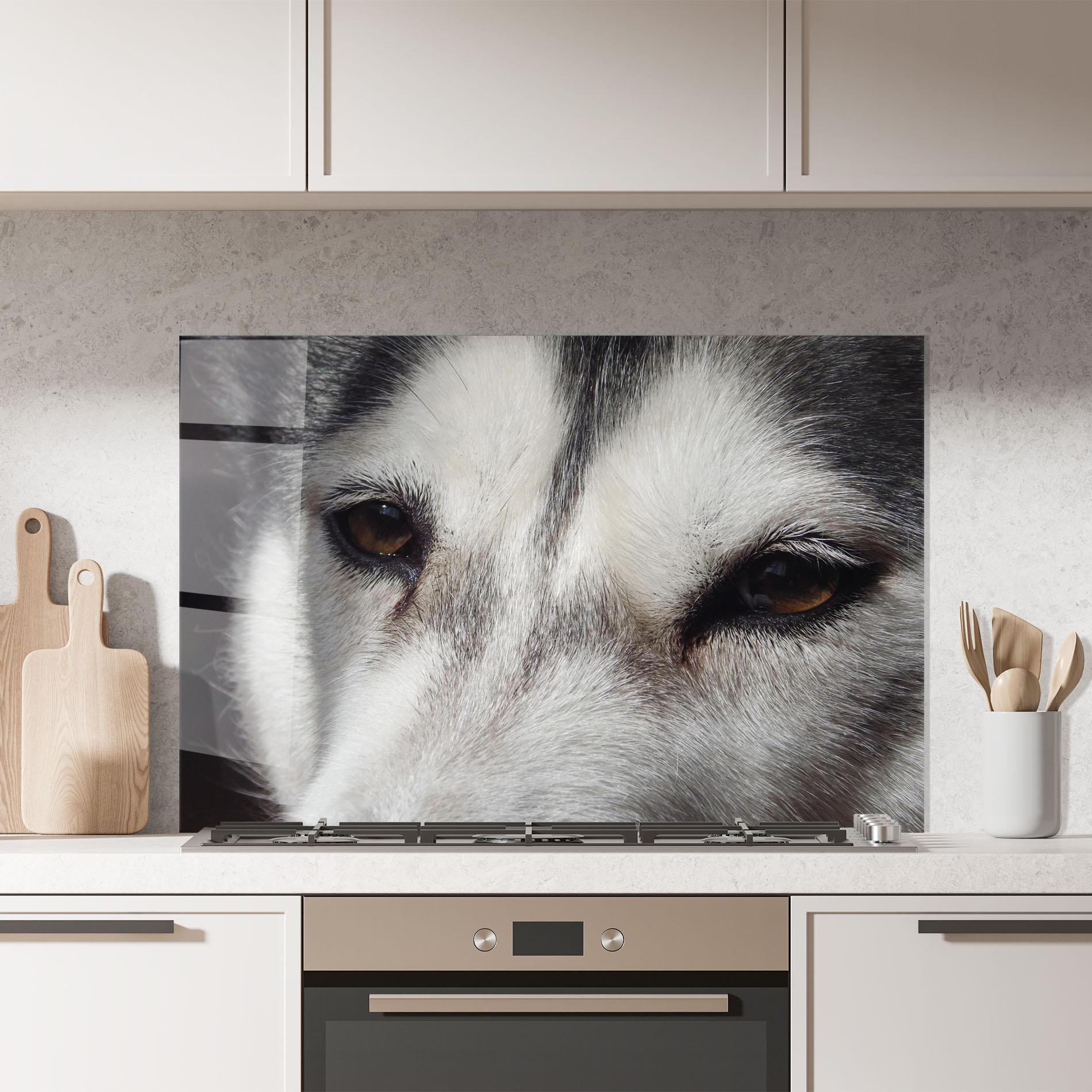 Küchenrückwand Glas Close Up Wolf mockup 7