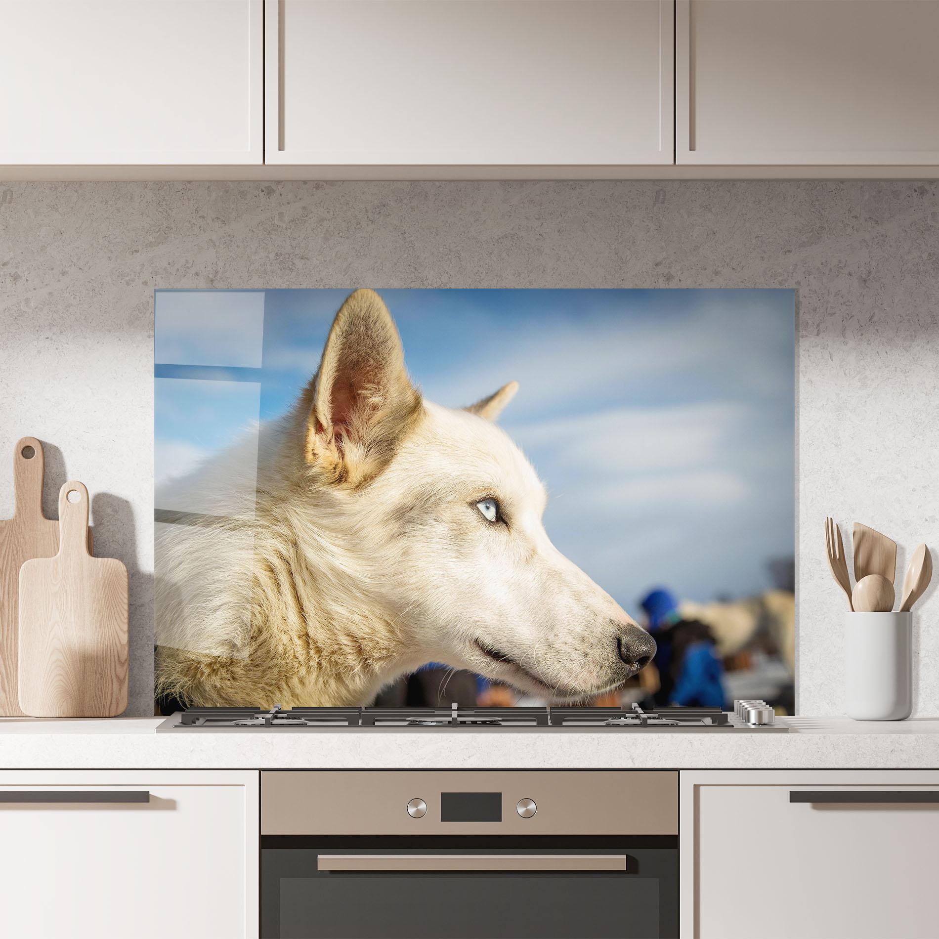 Küchenrückwand Glas White Wolf Looking mockup 7