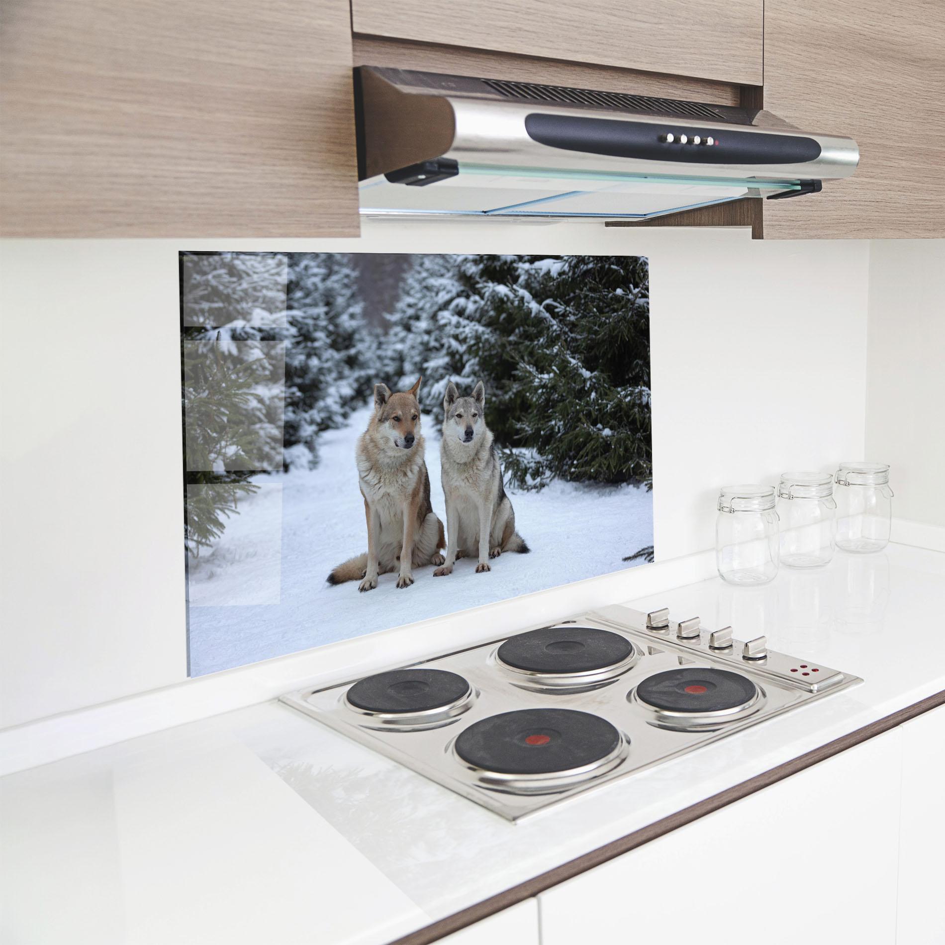 Küchenrückwand Glas 2 Wolfs Sitting mockup 8