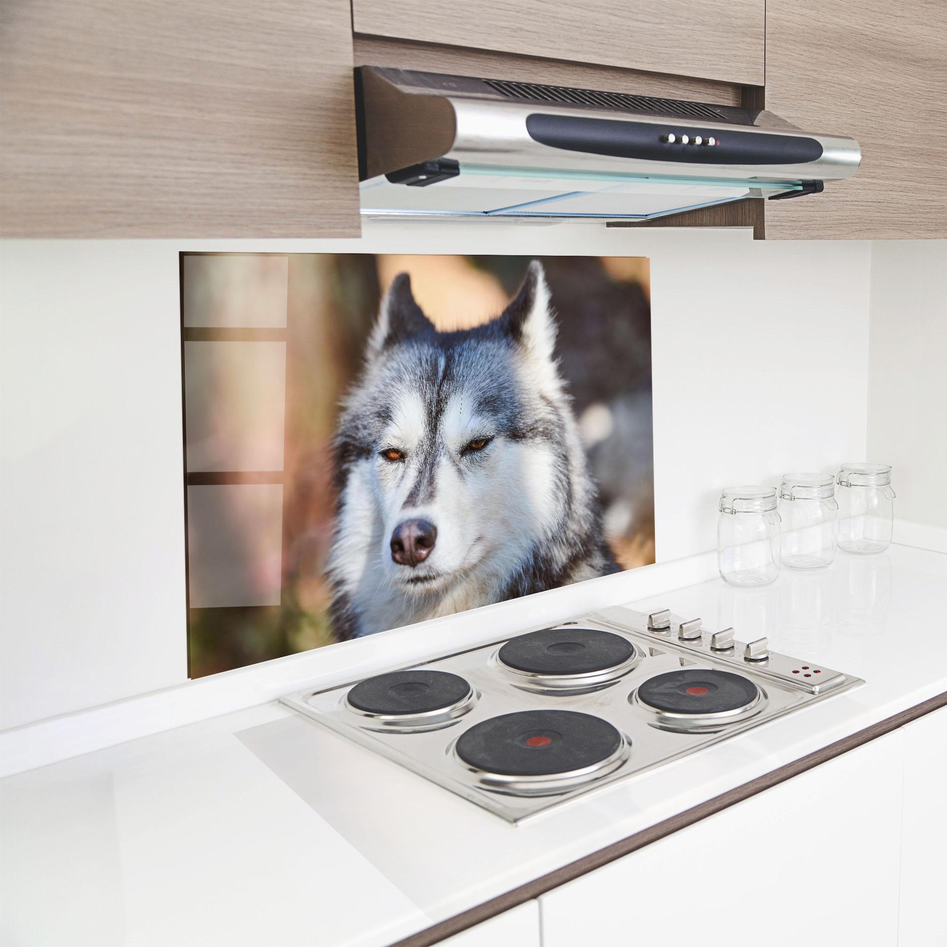 Küchenrückwand Glas Annoyed Wolf mockup 8