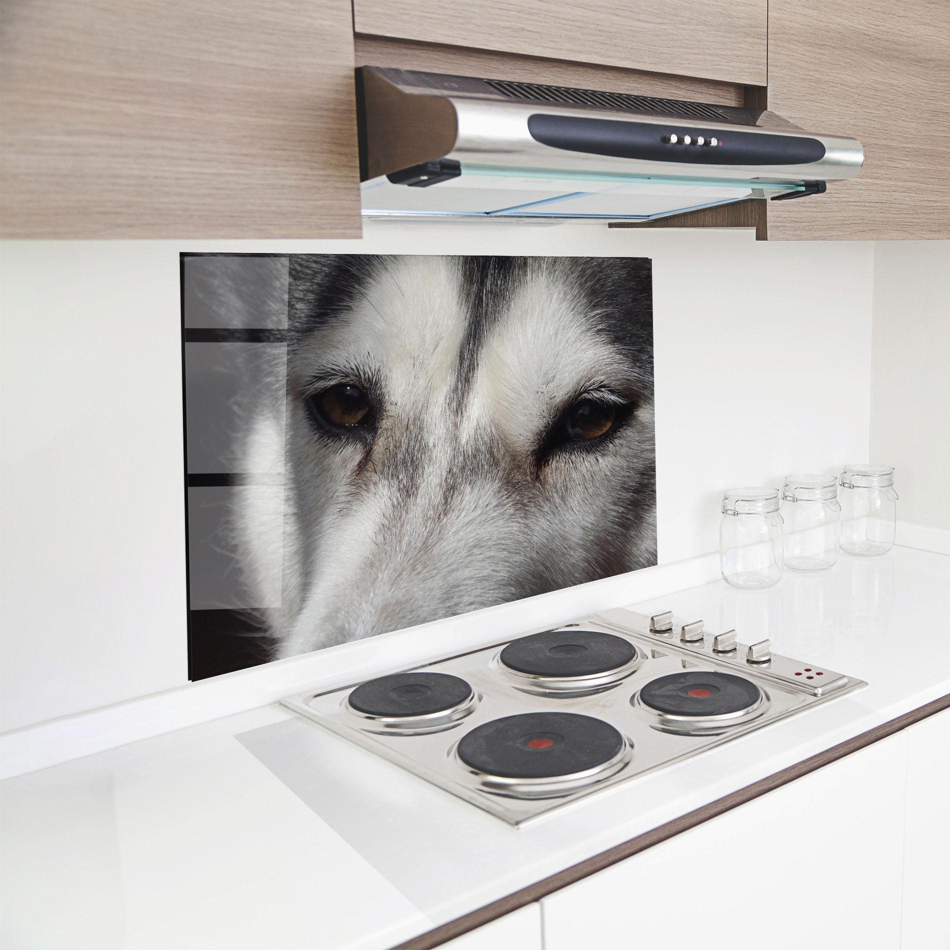 Küchenrückwand Glas Close Up Wolf mockup 8