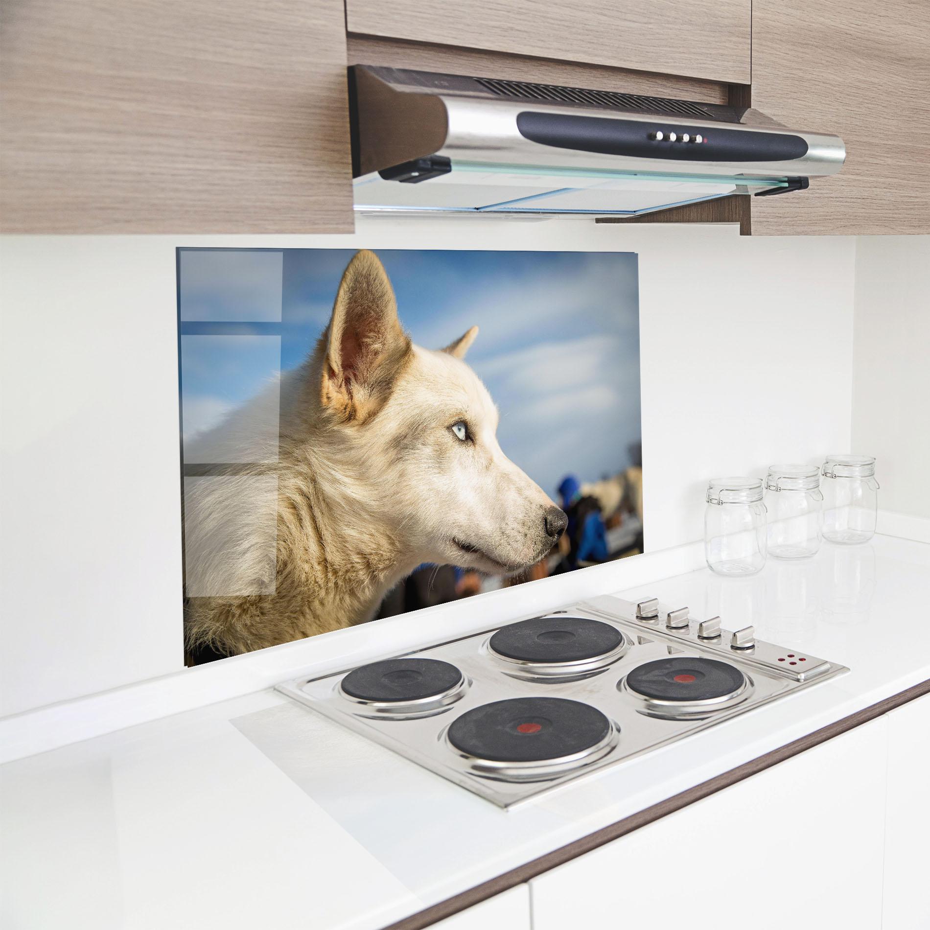 Küchenrückwand Glas White Wolf Looking mockup 8