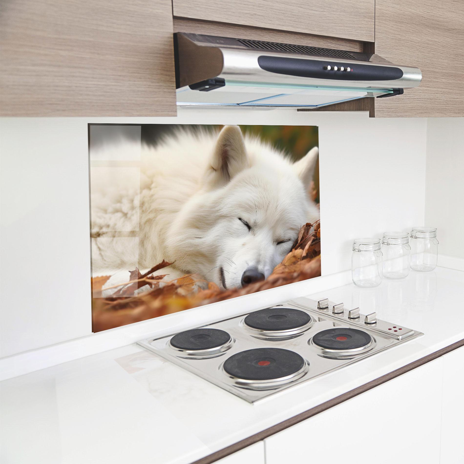 Küchenrückwand Glas White Wolf Sleeping mockup 8