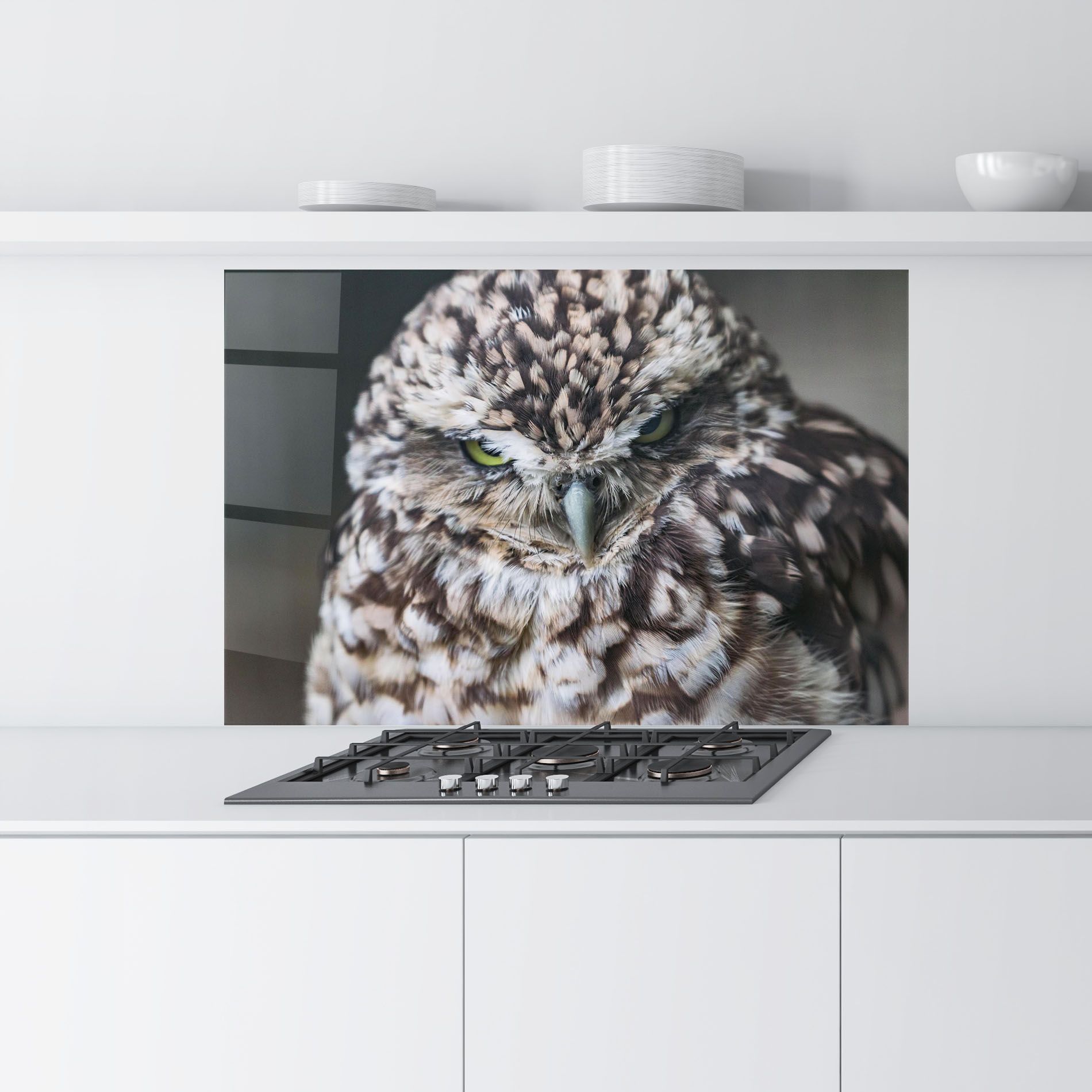 Angry Little Owl mockup 9