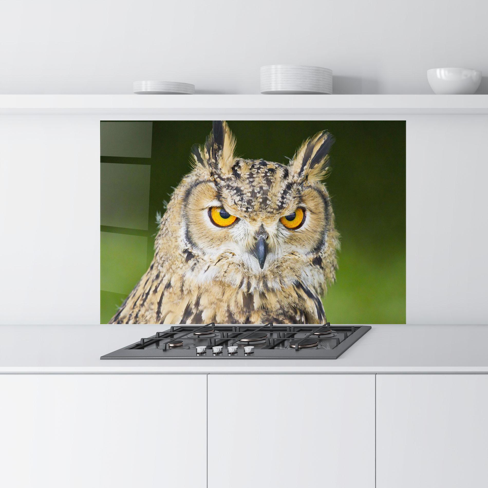 Küchenrückwand Glas Angry Owl mockup 9