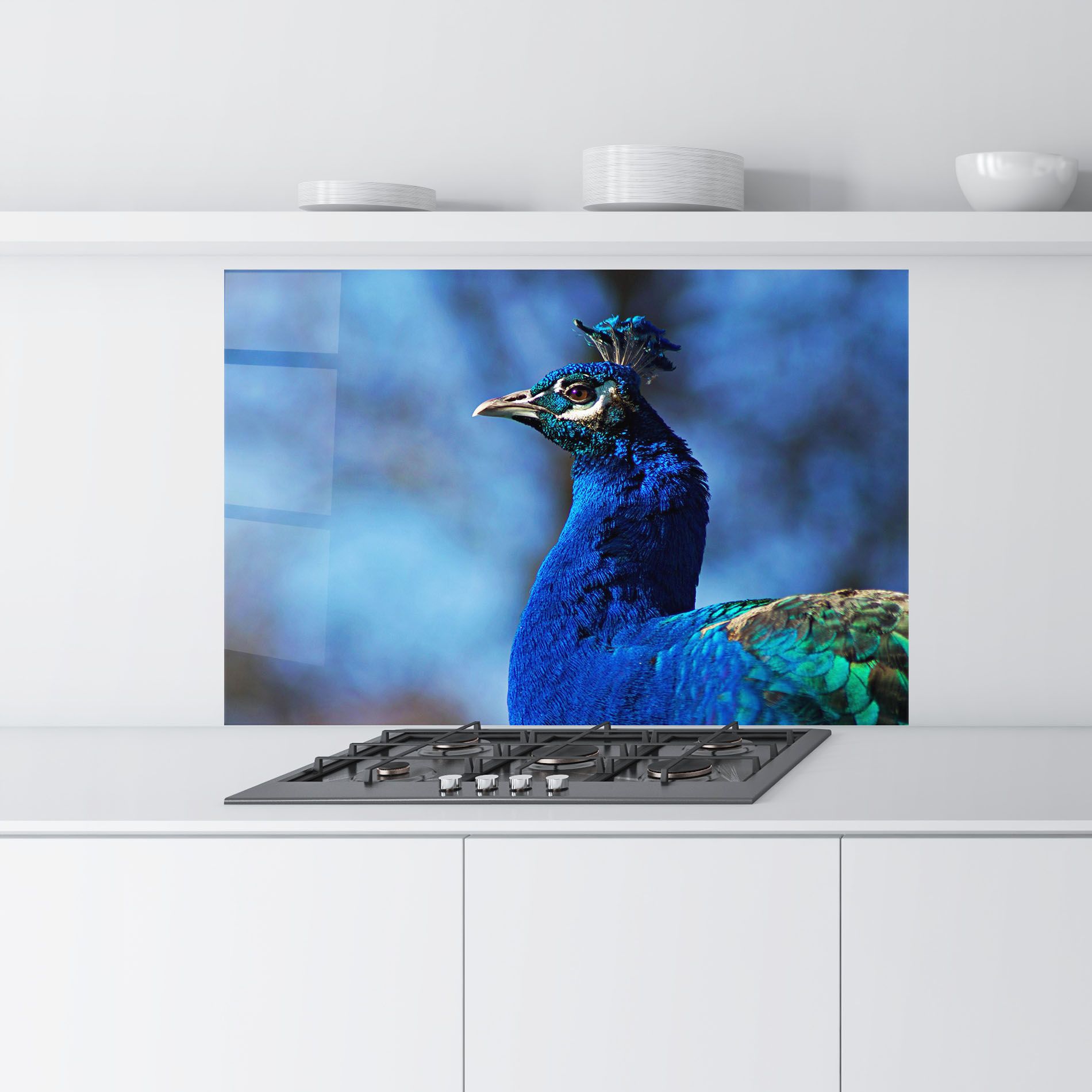 Blue Bird mockup 9