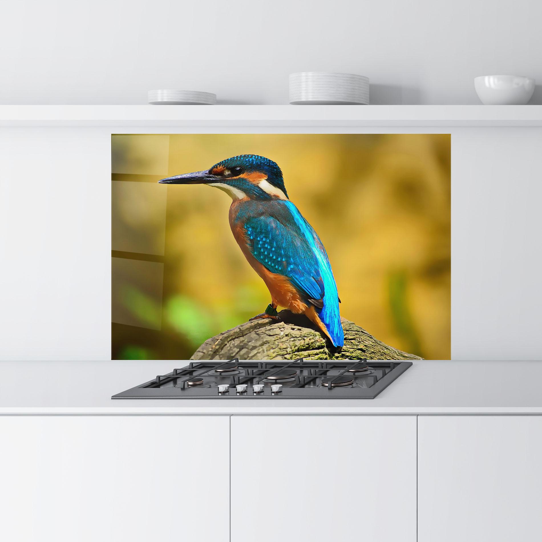 Küchenrückwand Glas Cute Blue Bird mockup 9