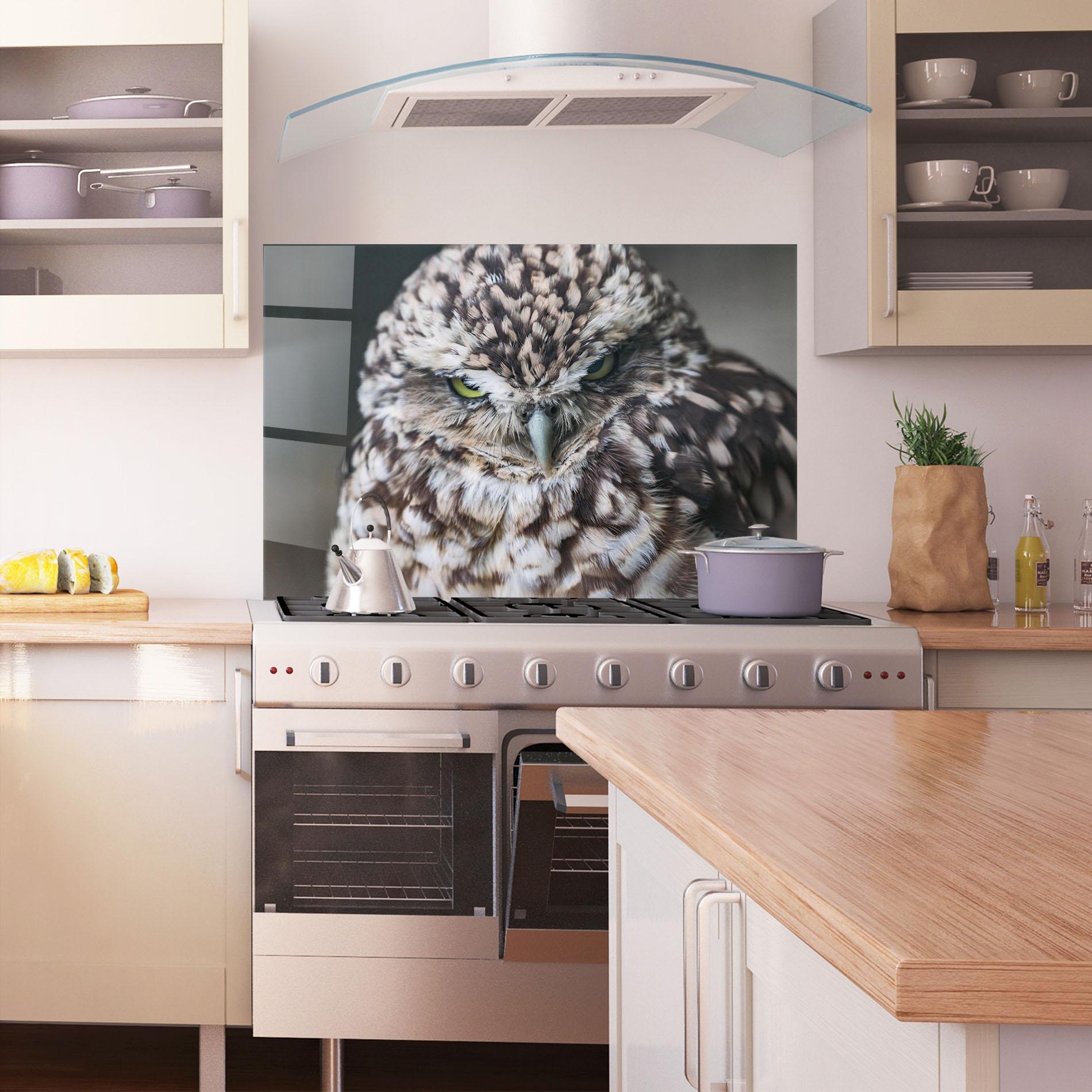 Küchenrückwand Glas Angry Little Owl mockup 1