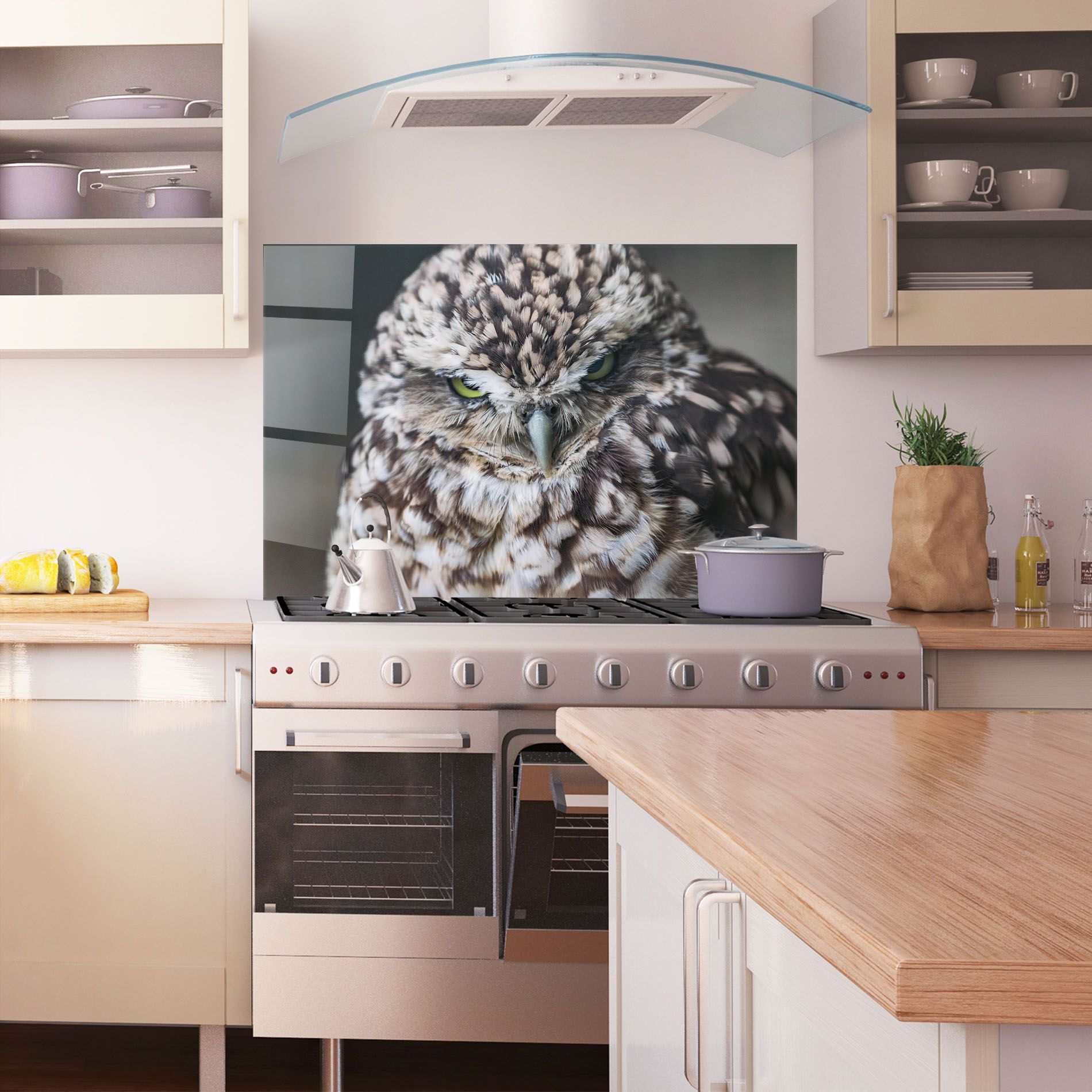 Angry Little Owl mockup 1