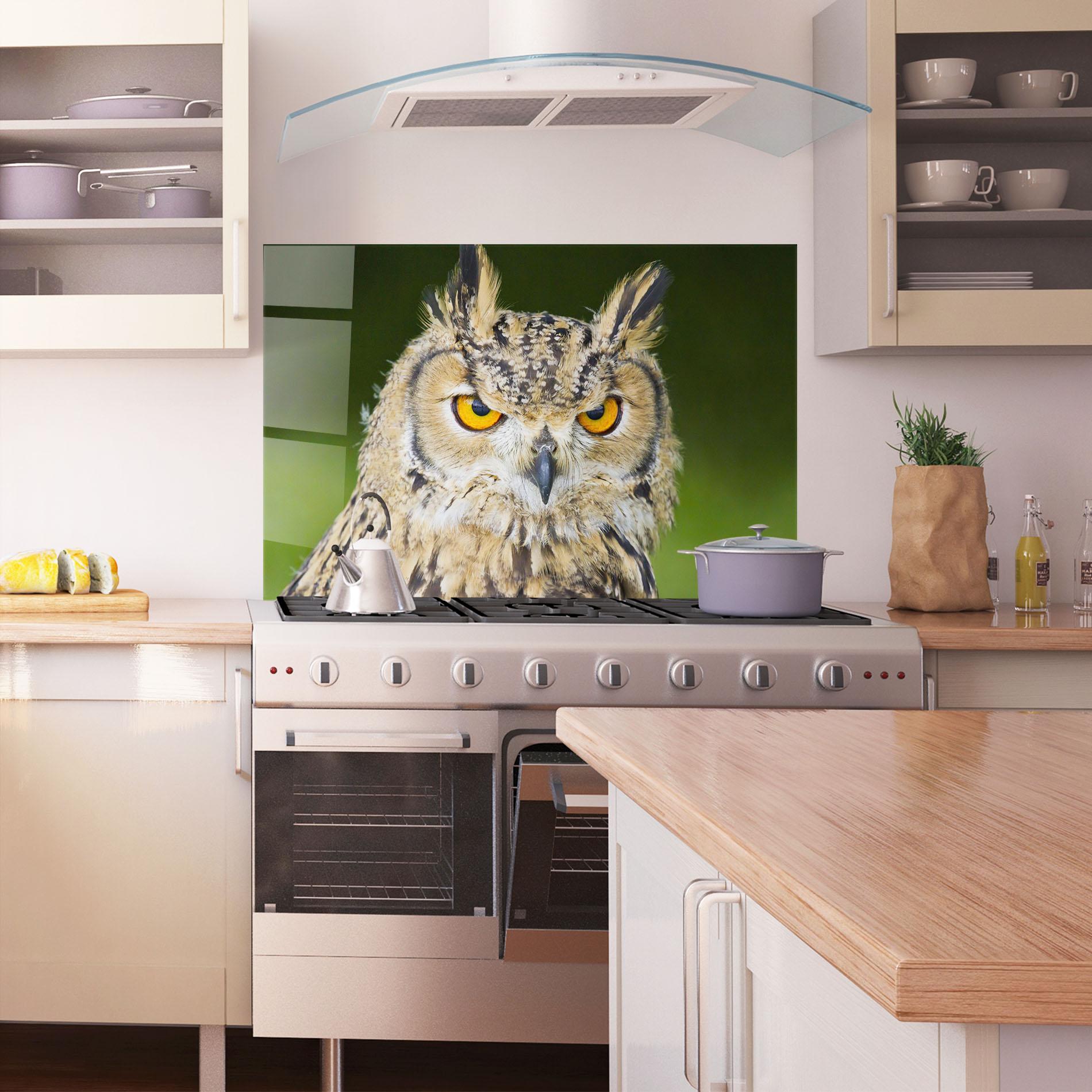 Küchenrückwand Glas Angry Owl mockup 1