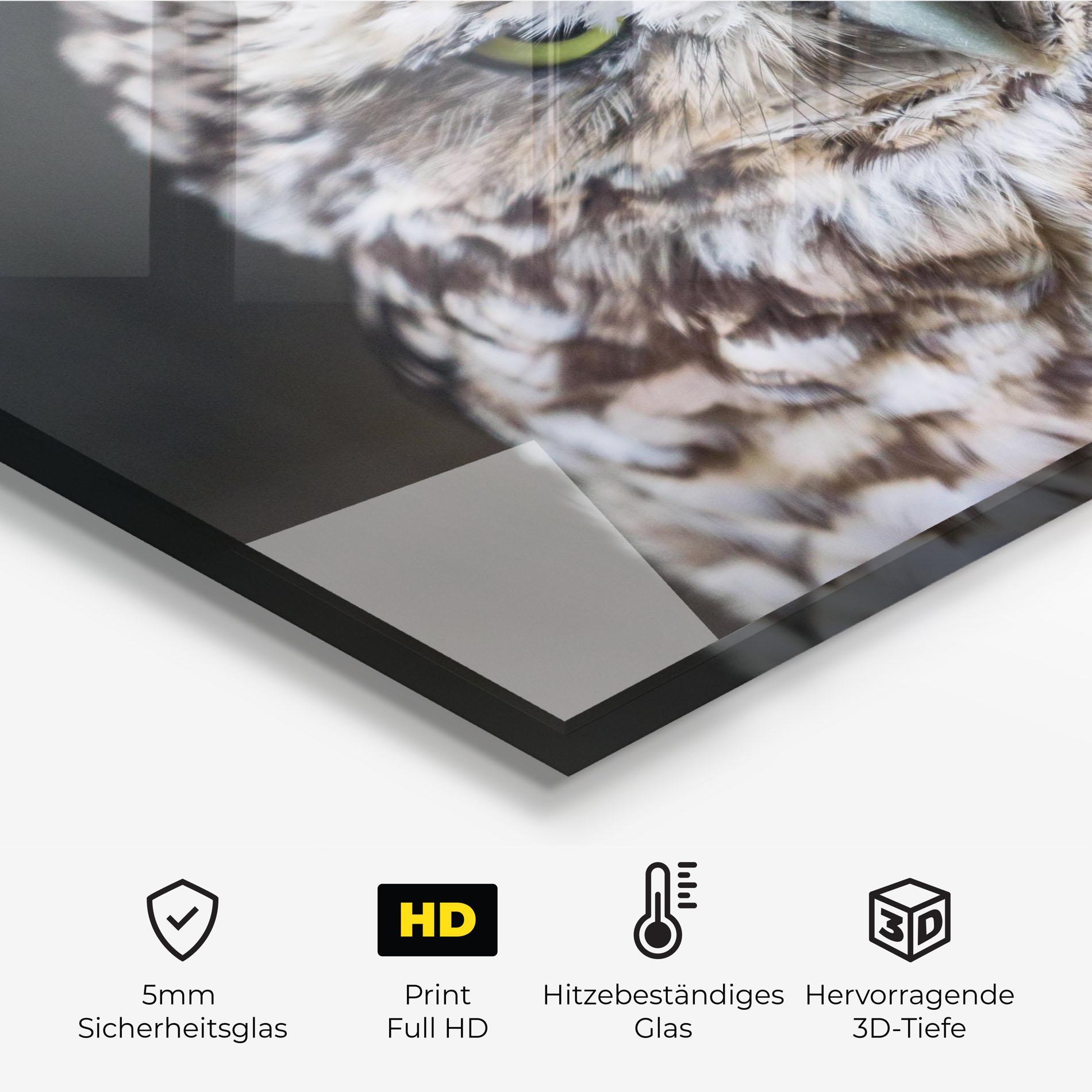 Küchenrückwand Glas Angry Little Owl mockup 2