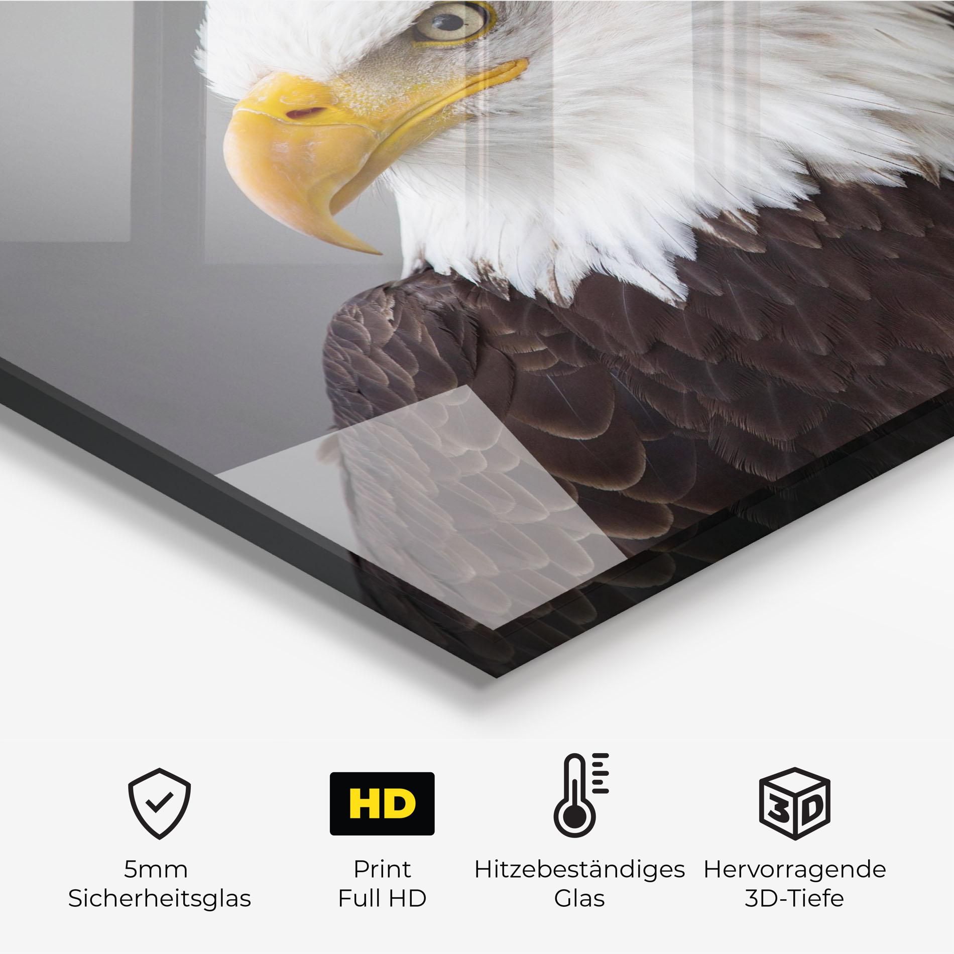 Beautiful Eagle mockup 2