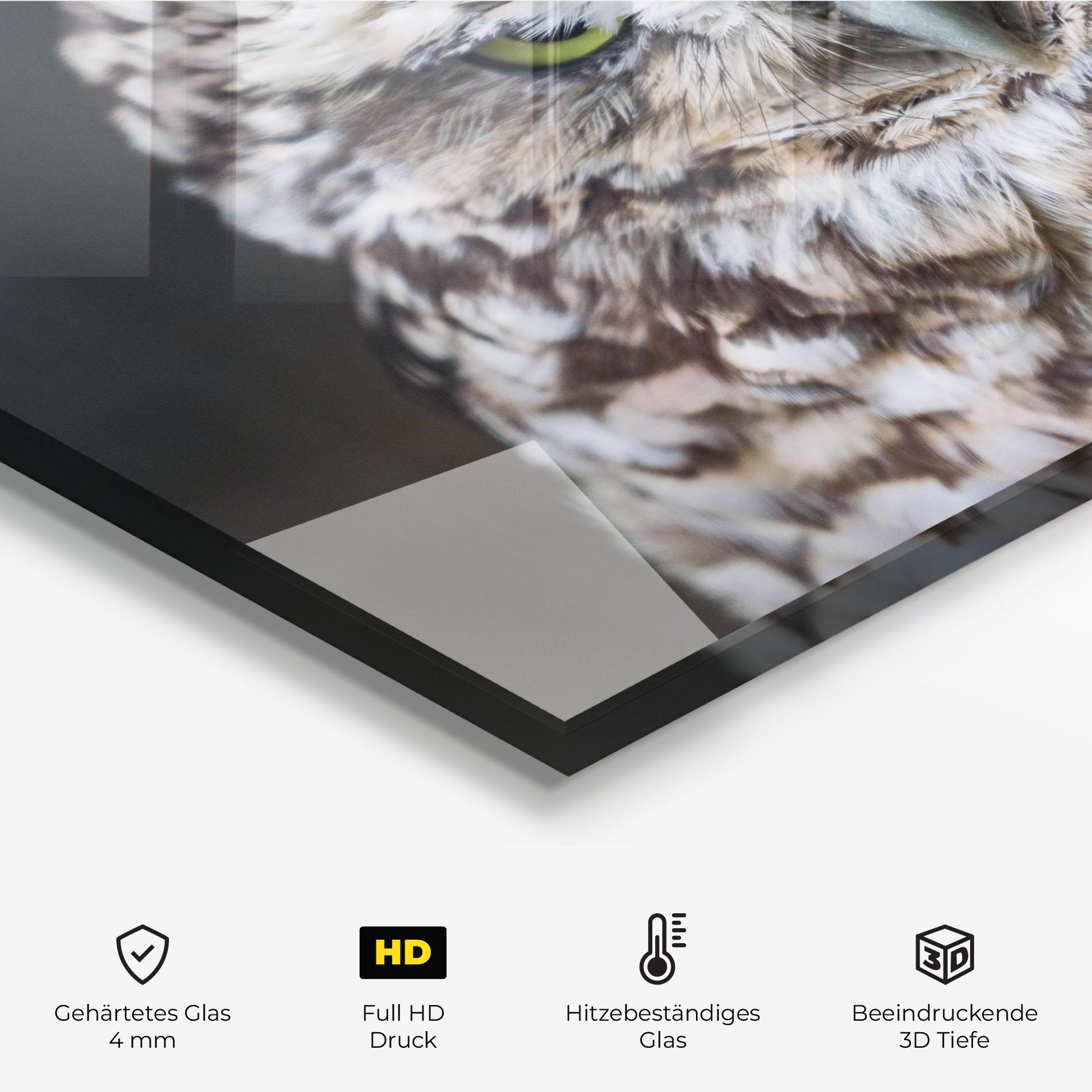 Küchenrückwand Glas Angry Little Owl mockup 2