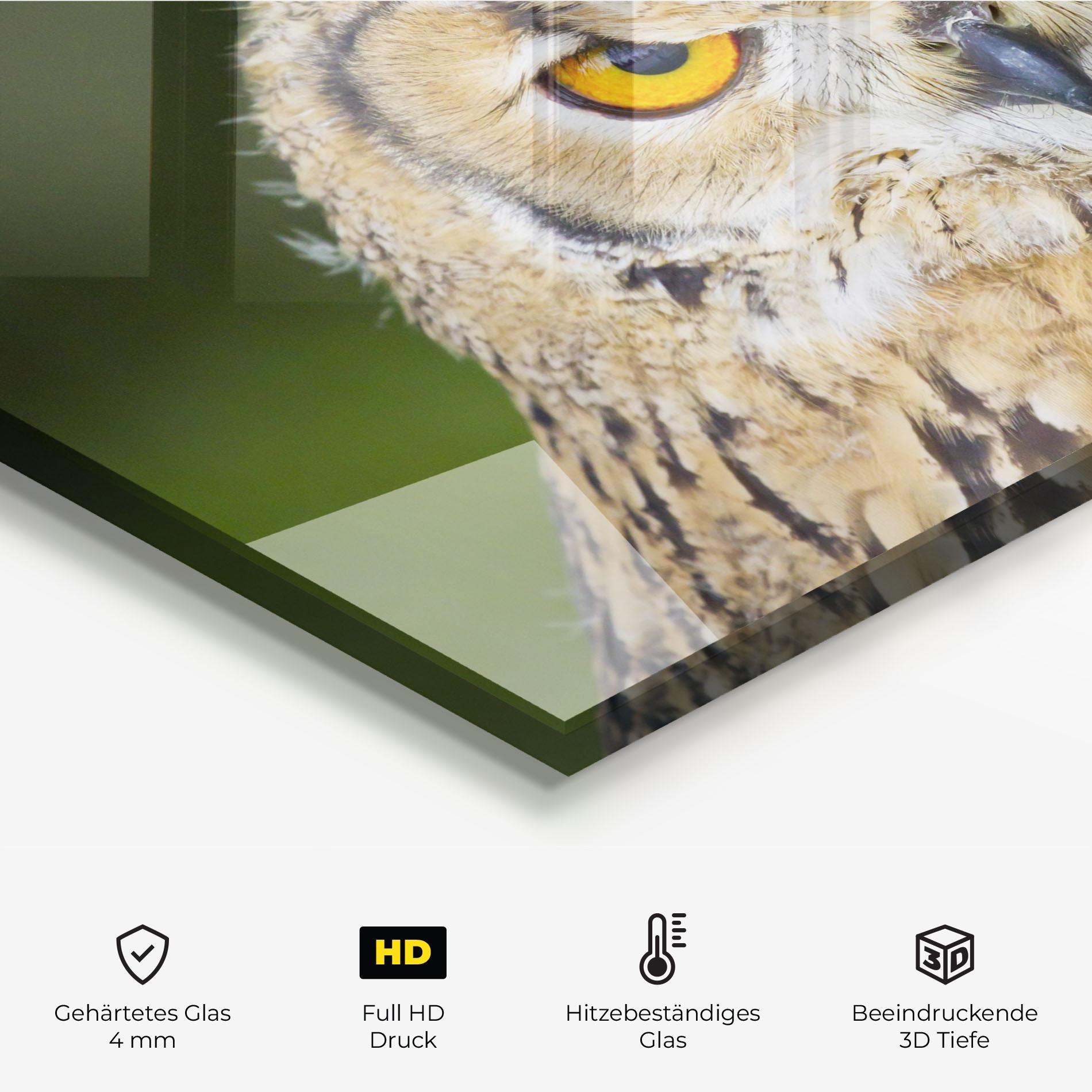 Küchenrückwand Glas Angry Owl mockup 2