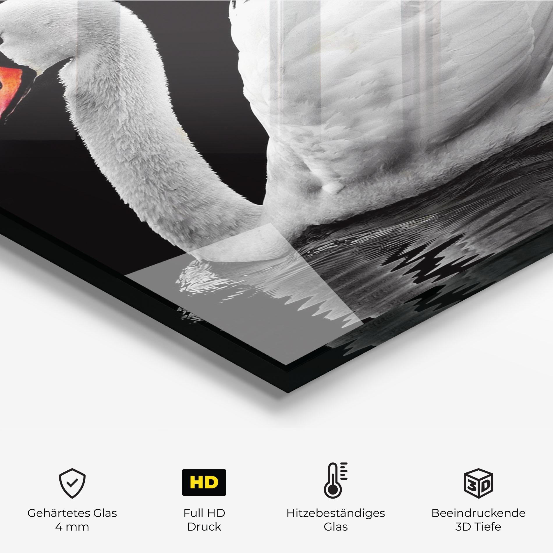 Küchenrückwand Glas Black And White Swan mockup 2