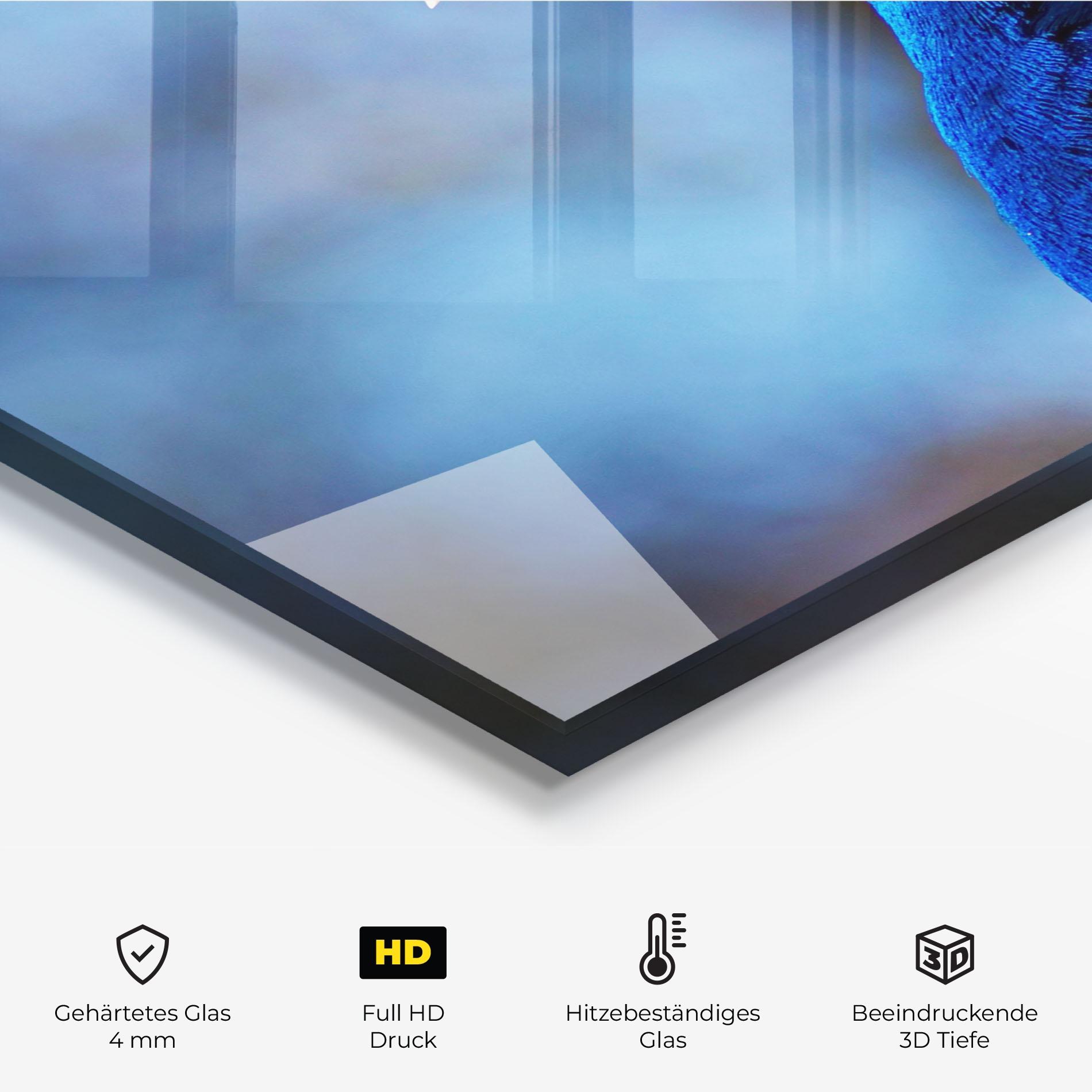 Küchenrückwand Glas Blue Bird mockup 2