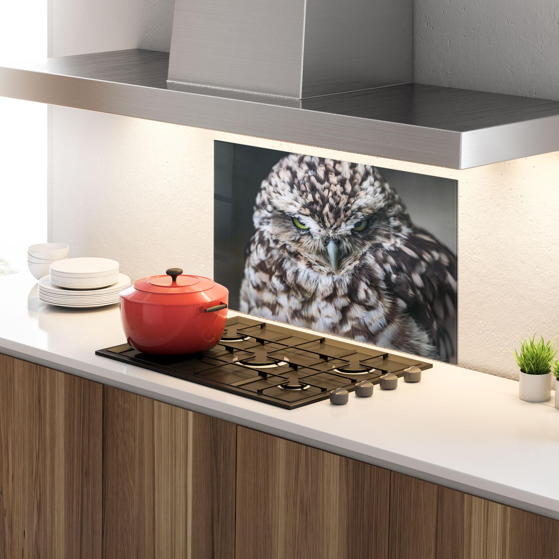 Küchenrückwand Glas Angry Little Owl mockup 4