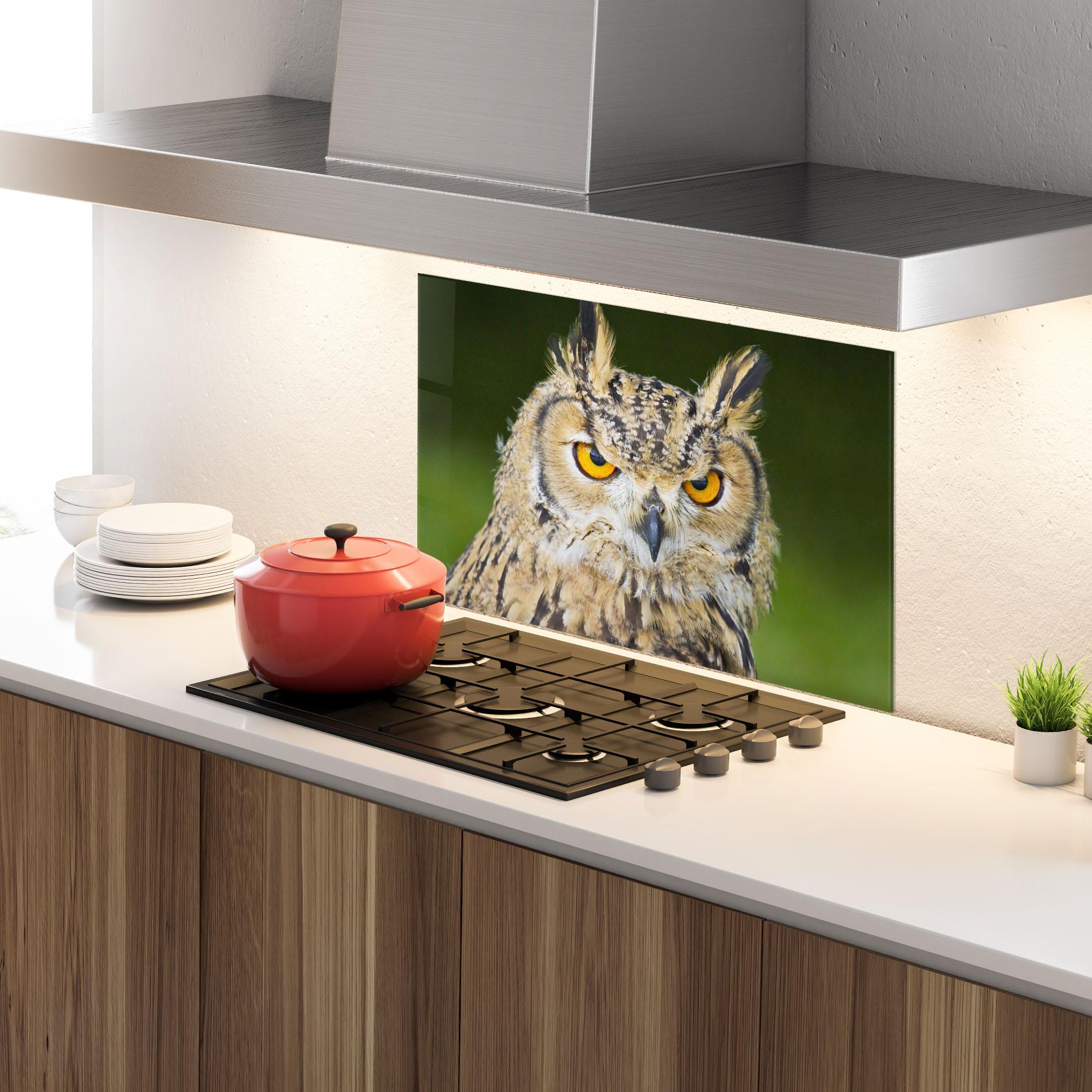 Küchenrückwand Glas Angry Owl mockup 4
