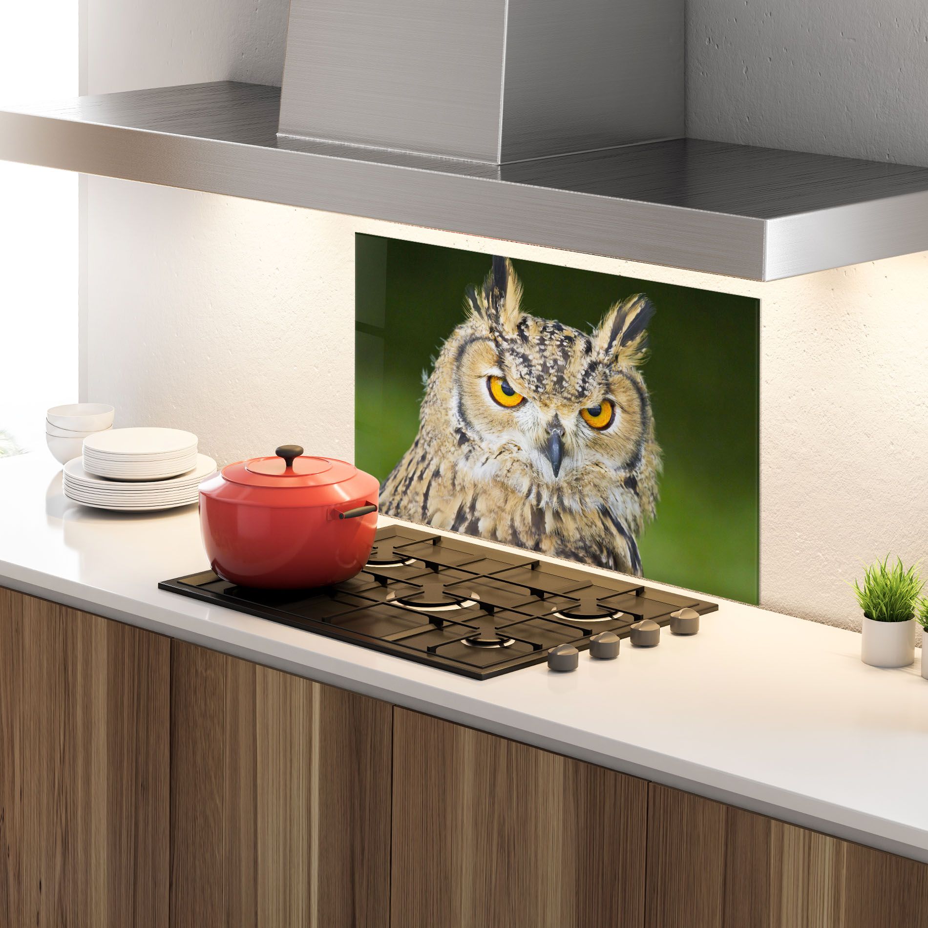 Angry Owl mockup 4