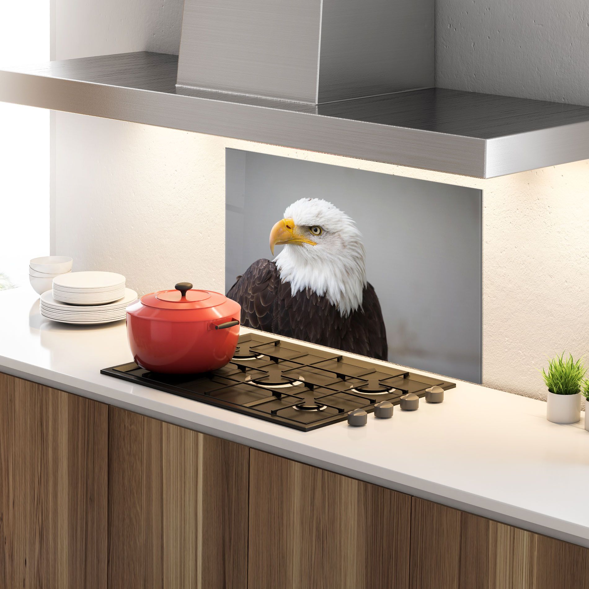 Beautiful Eagle mockup 4
