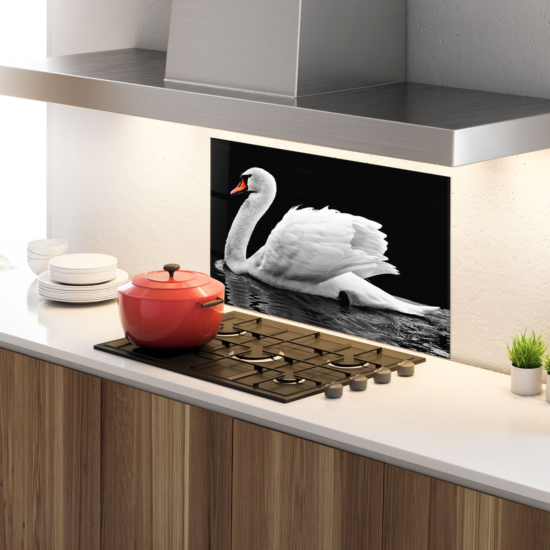 Black And White Swan mockup 4