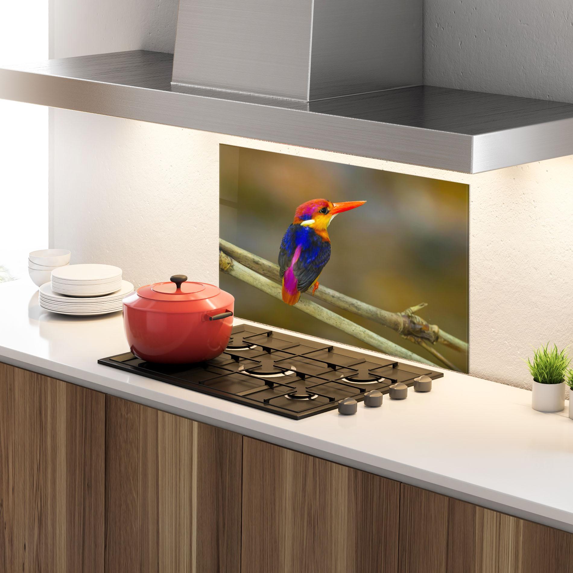 Küchenrückwand Glas Colorful Bird mockup 4