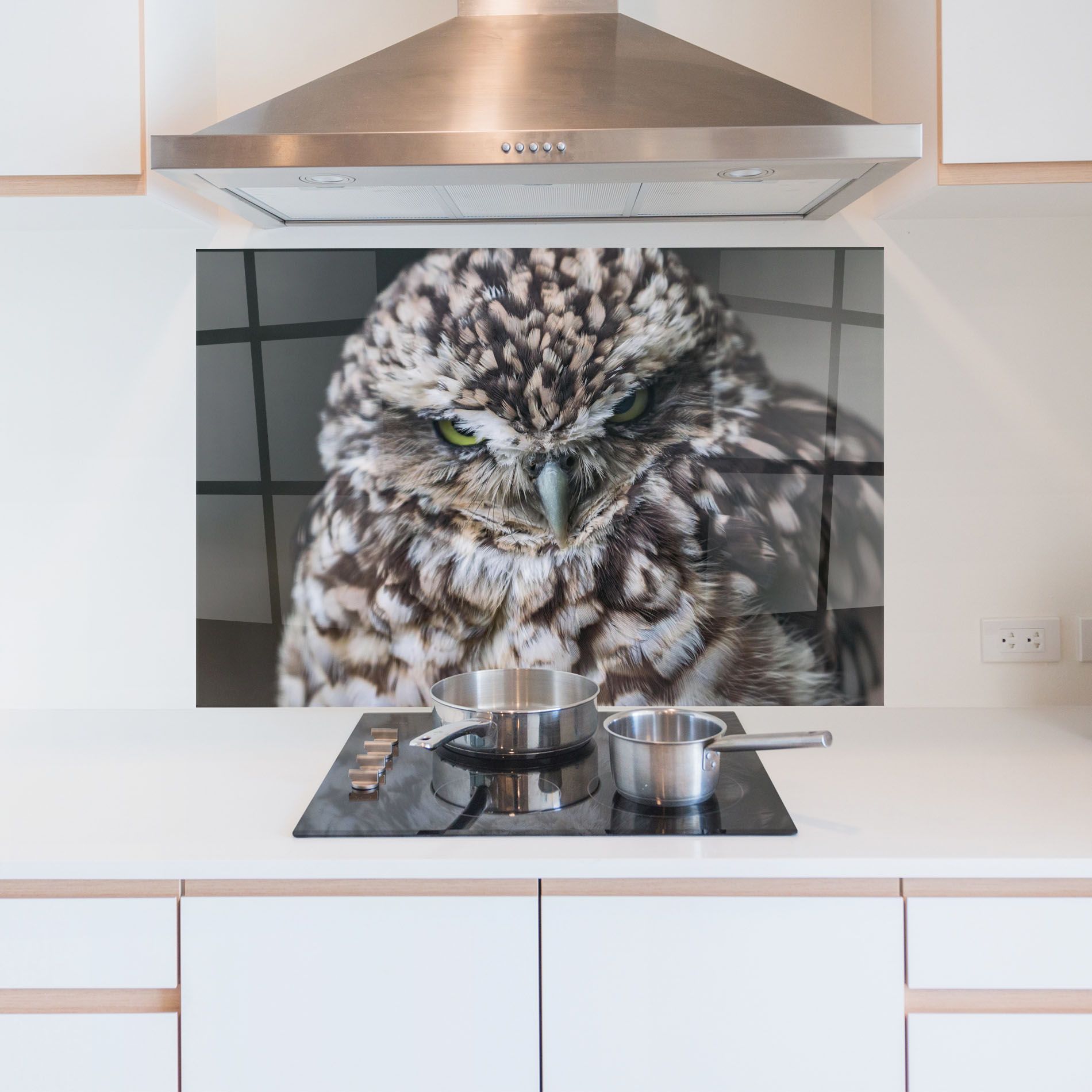 Angry Little Owl mockup 5