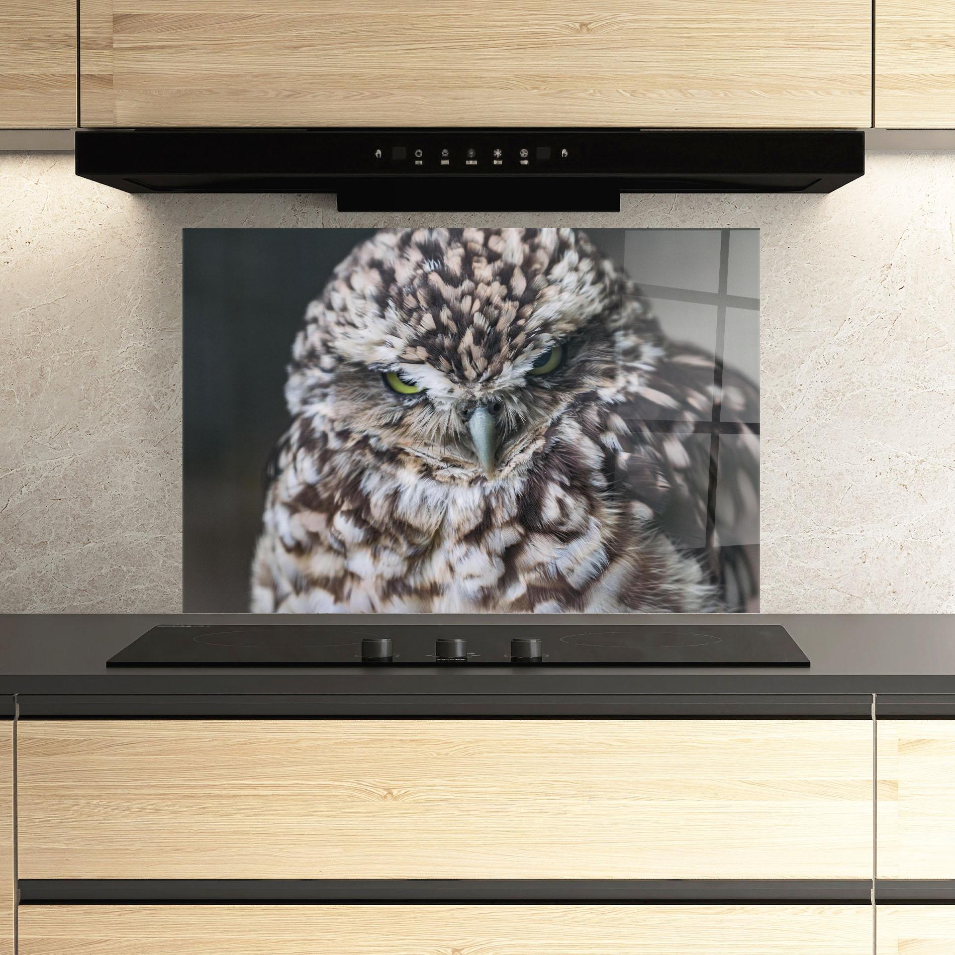 Küchenrückwand Glas Angry Little Owl mockup 3