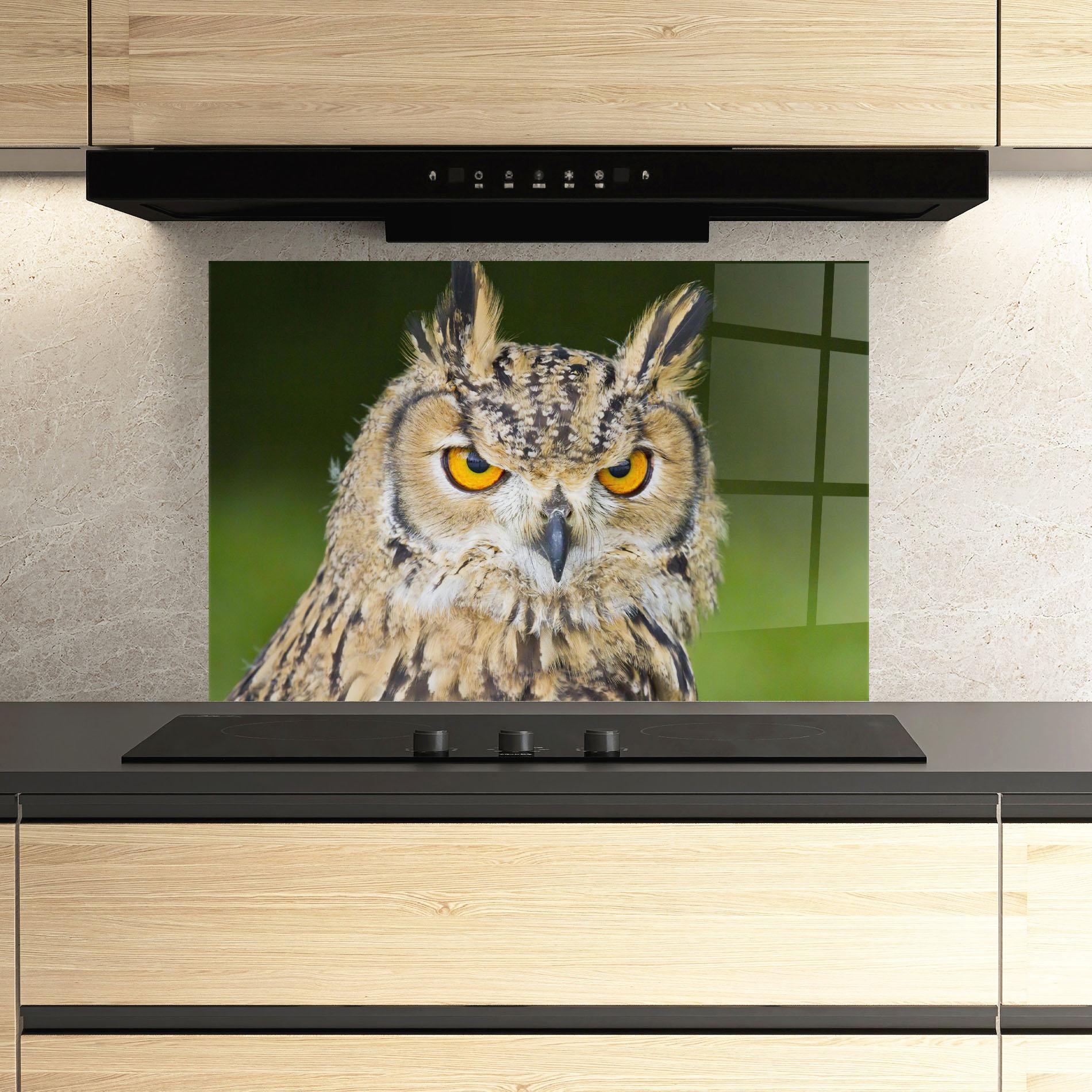 Küchenrückwand Glas Angry Owl mockup 3
