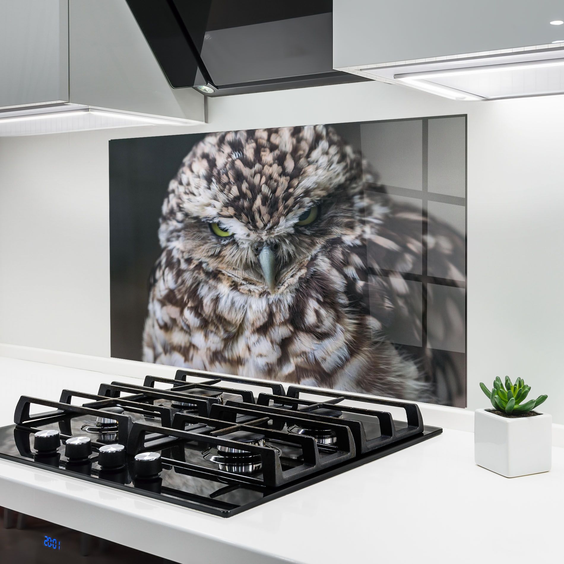 Angry Little Owl mockup 6