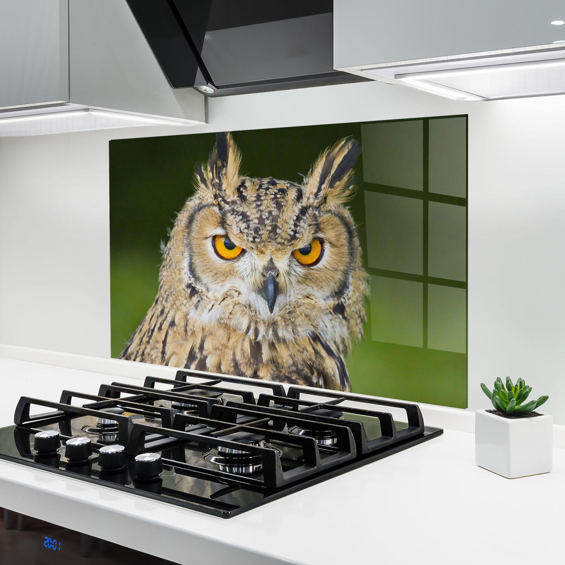 Küchenrückwand Glas Angry Owl mockup 6