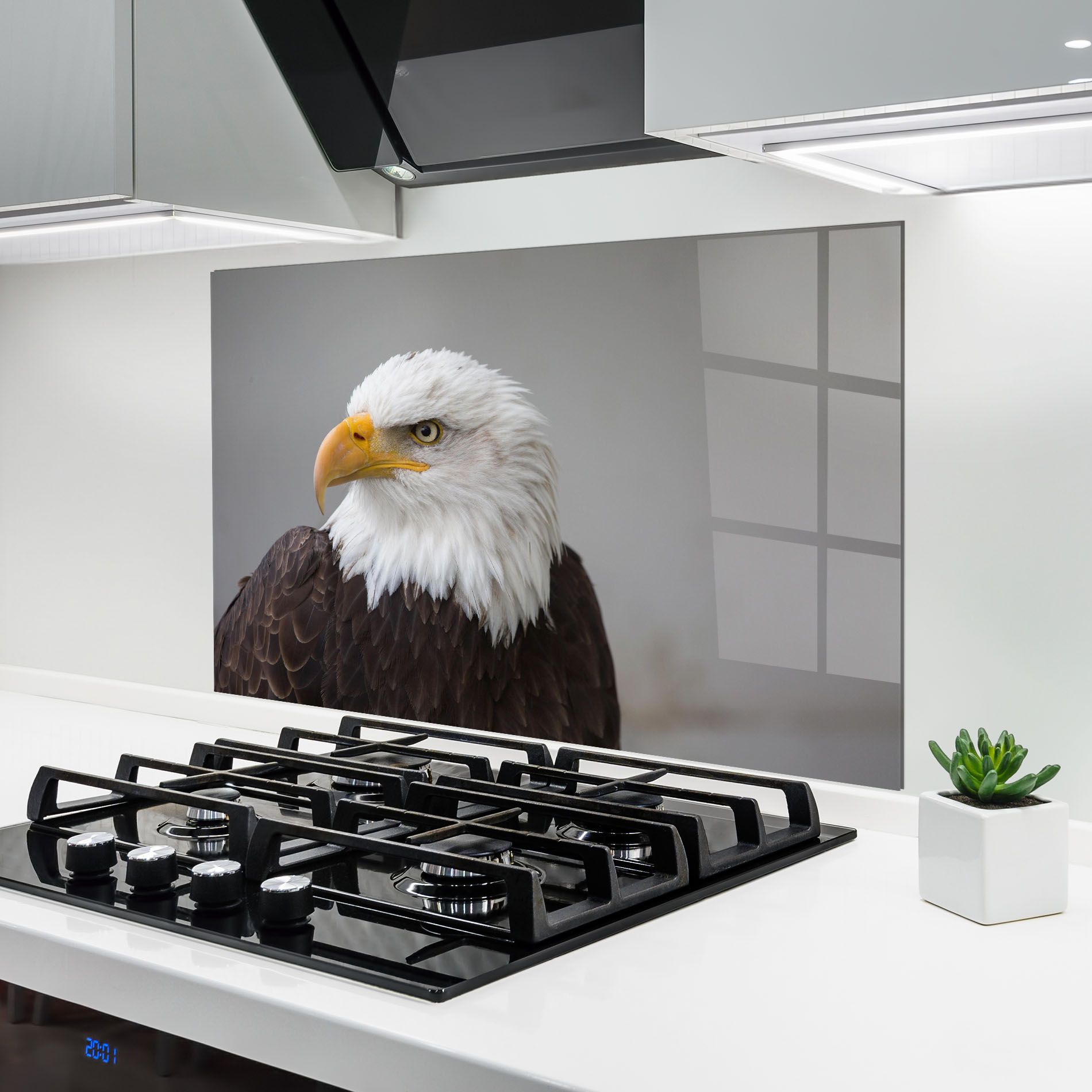 Beautiful Eagle mockup 6