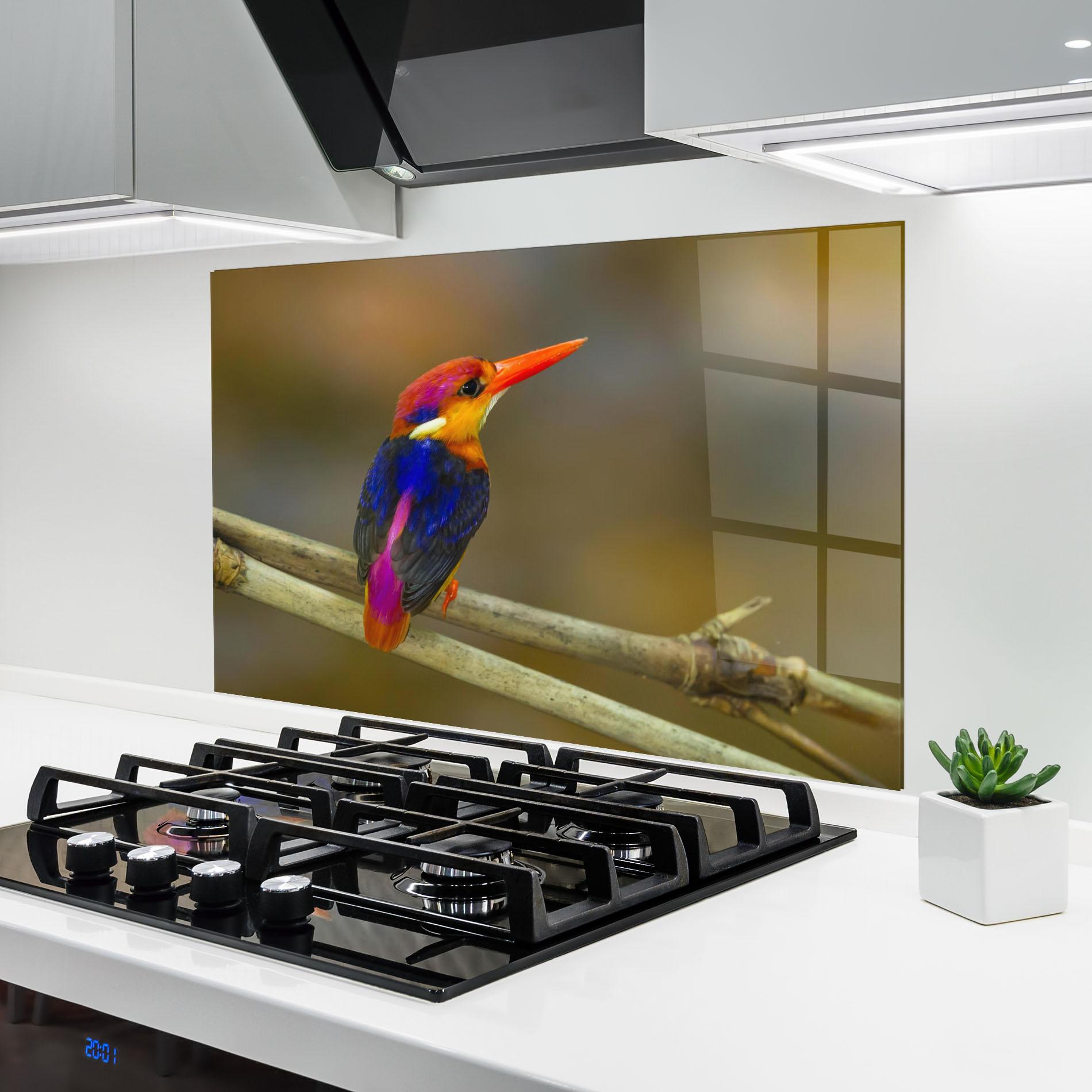 Küchenrückwand Glas Colorful Bird mockup 6