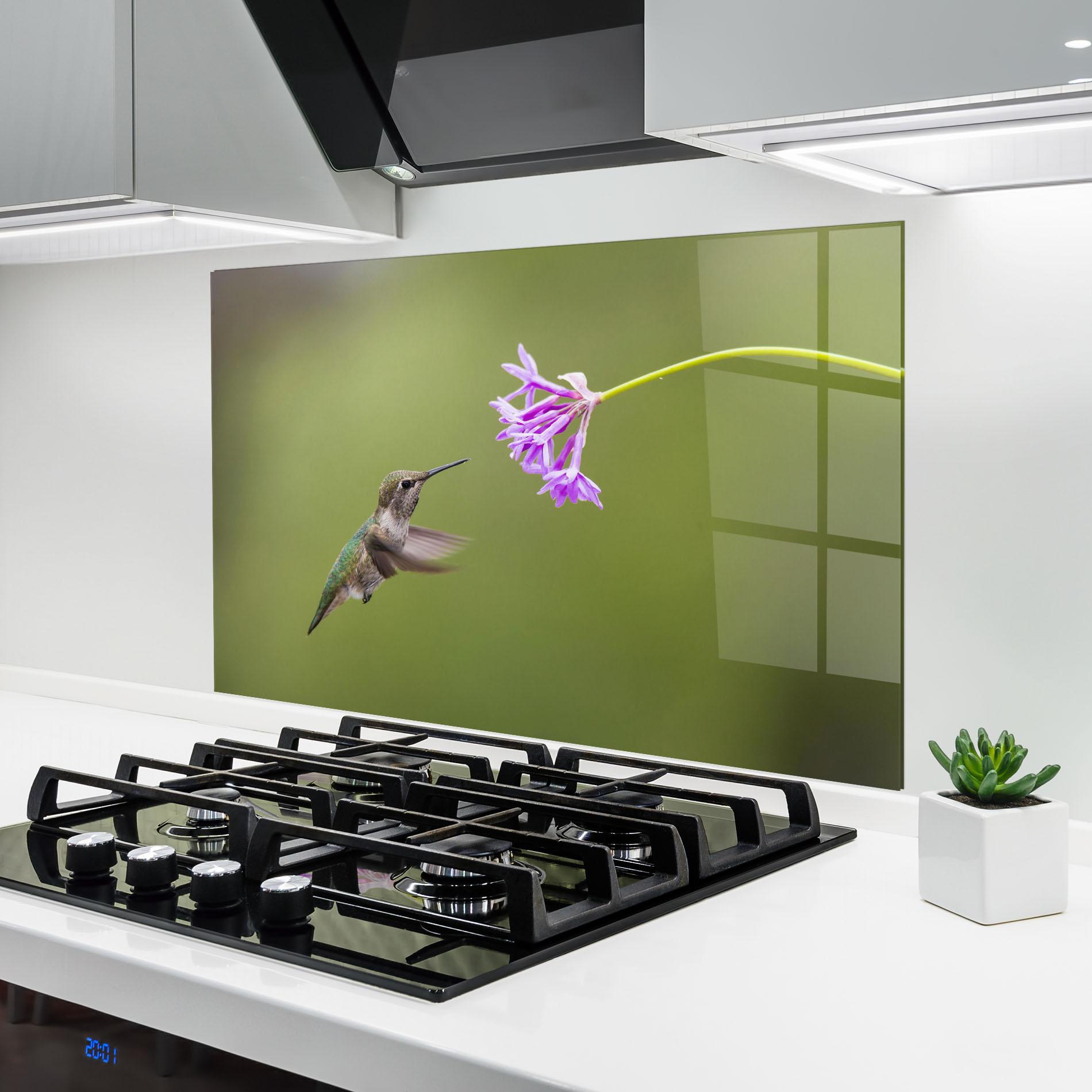 Küchenrückwand Glas Cute Hummingbird mockup 6